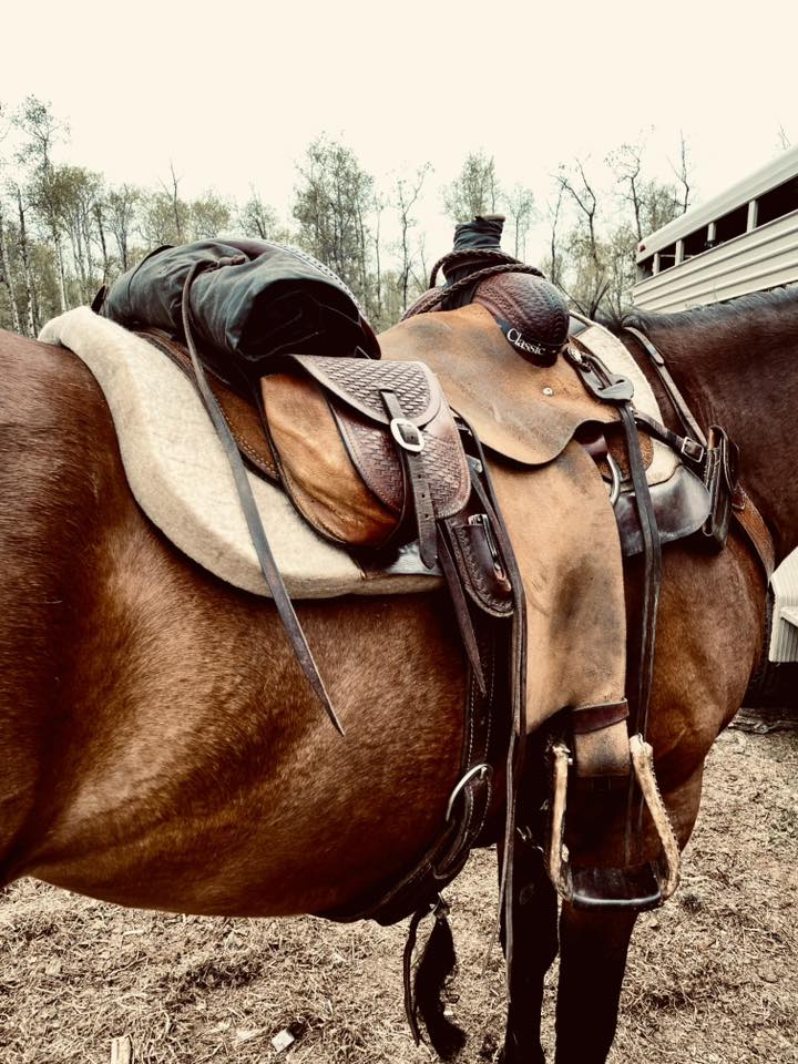 ISO 14” rope saddle that fits a wide horse. No ugly colours | Facebook