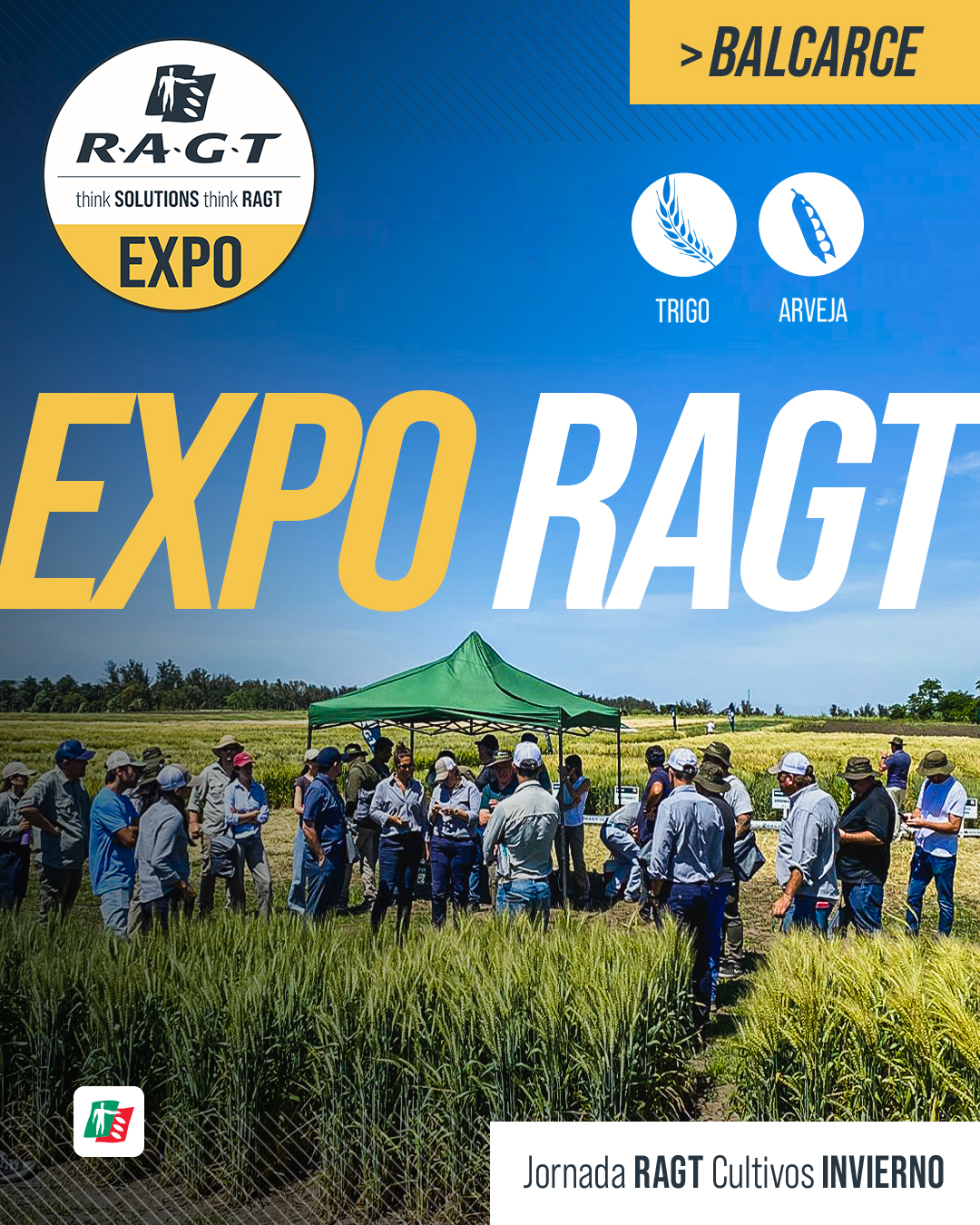 RAGT Argentina | Núñez