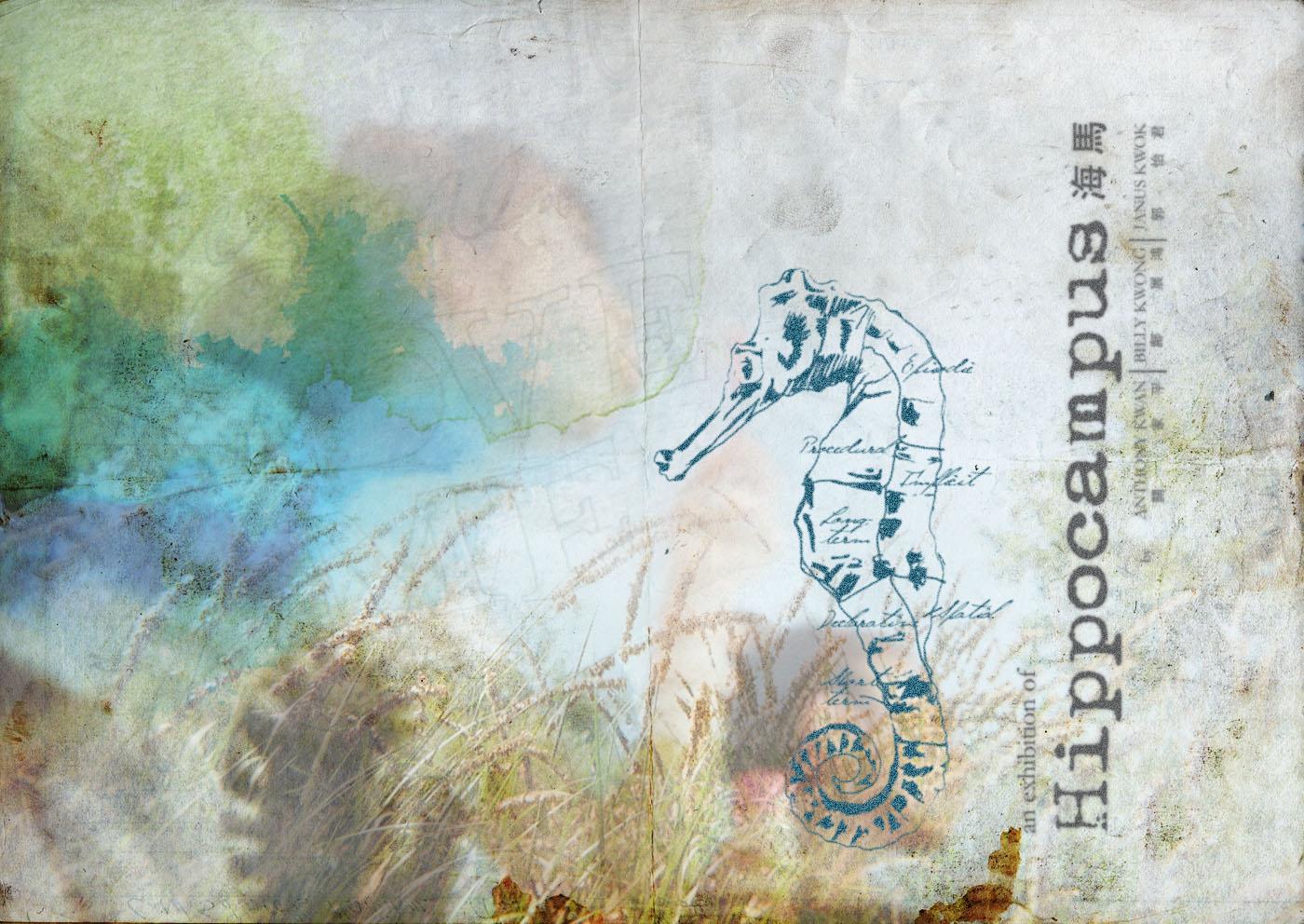 Hippocampus Alive 你與我的海馬一起夢遊 Home Facebook