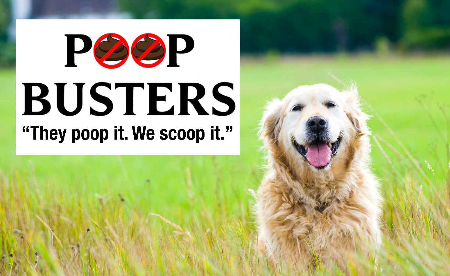 Poop Busters Indy