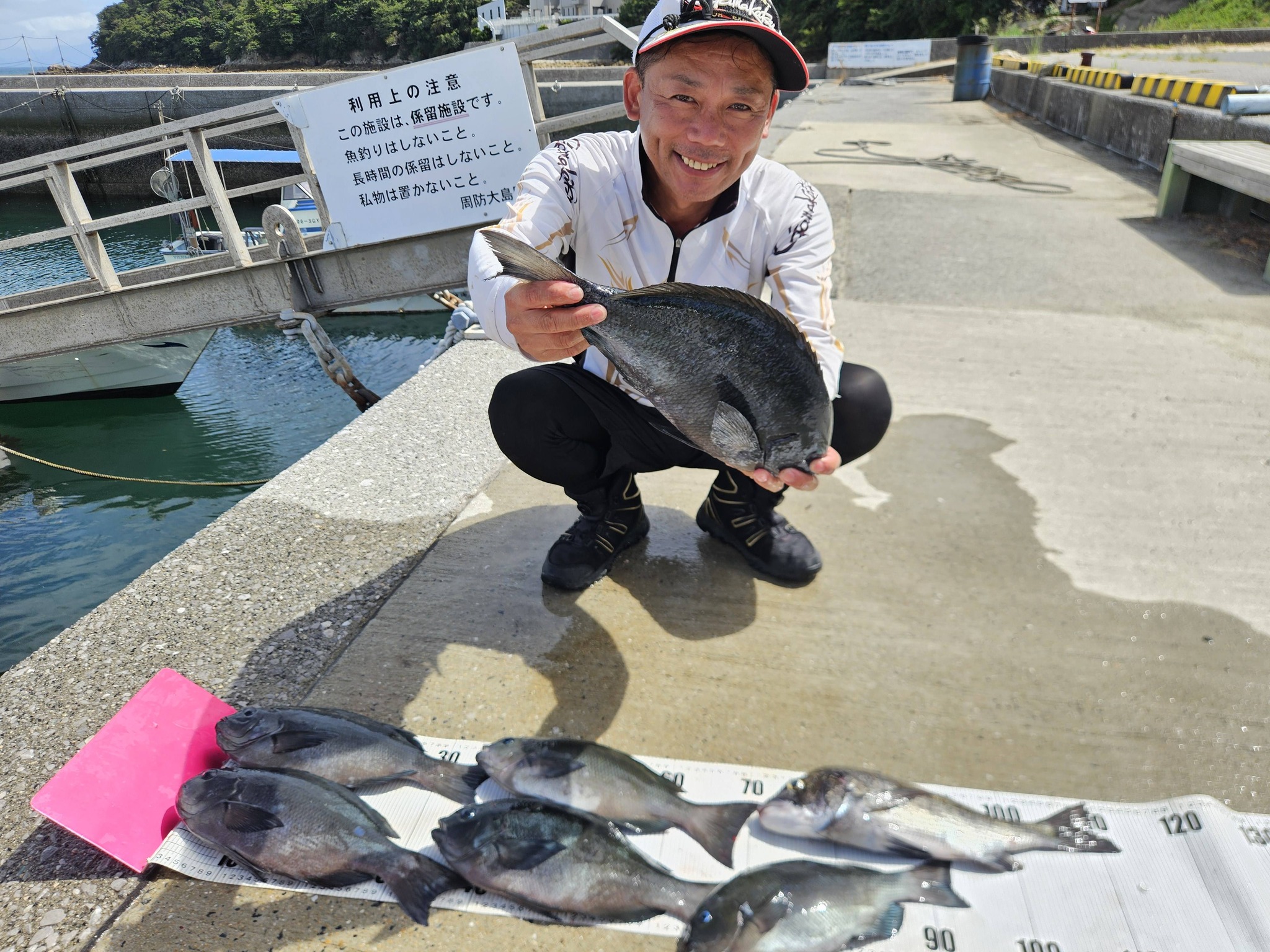 瀬渡し 藤谷渡船