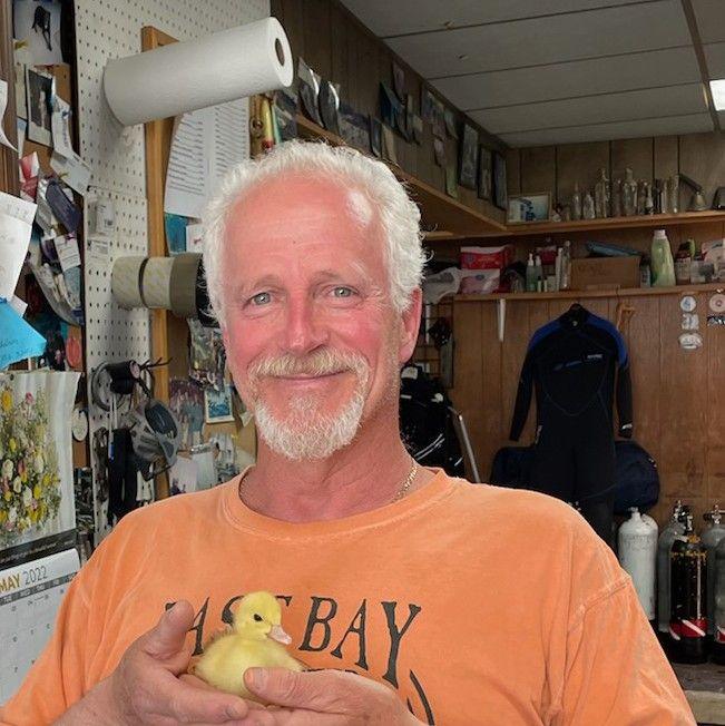 David Labrecque