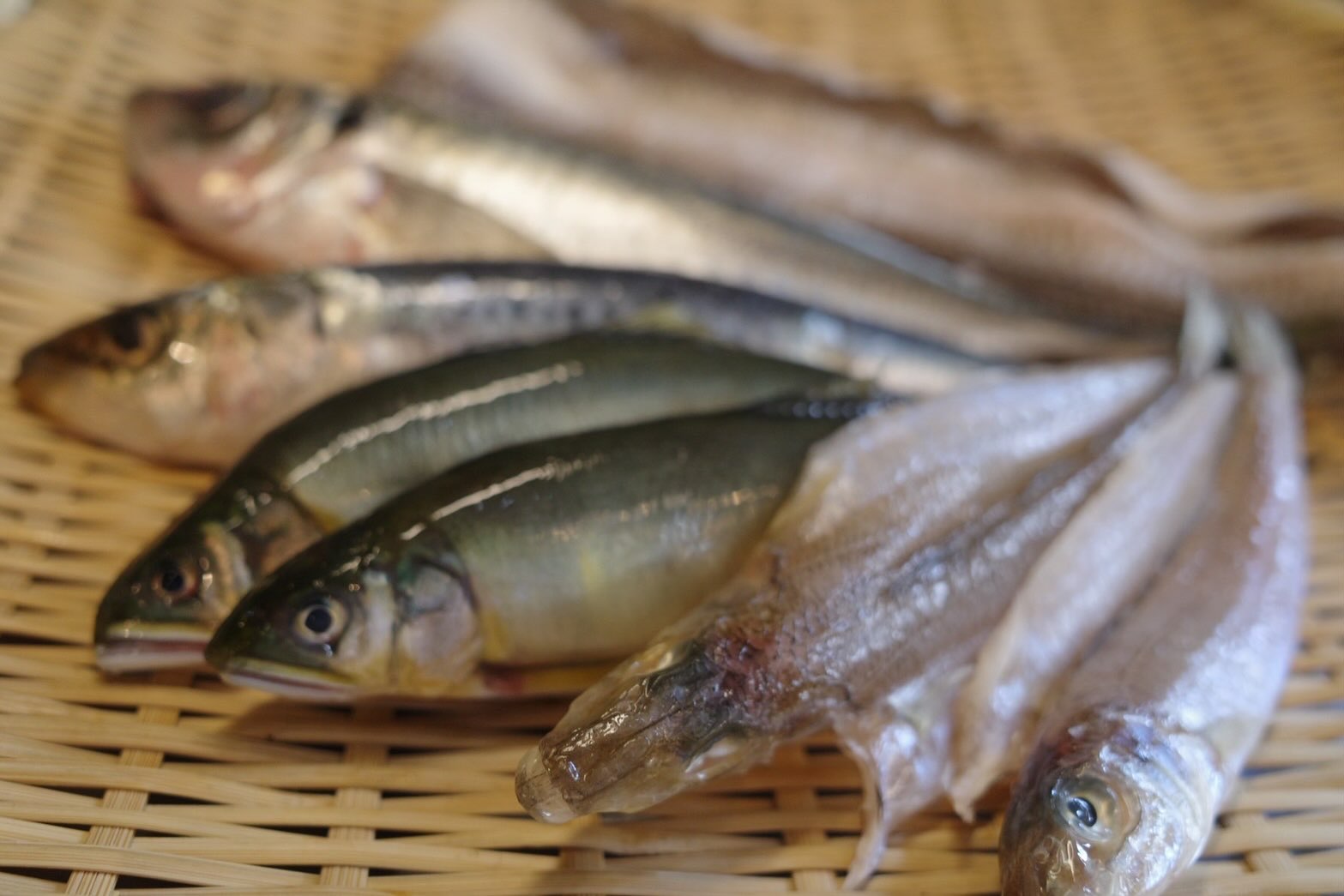 旬の魚】 太刀魚(たちうお) 英名: Sabel fish Cutlassfish 夏から秋