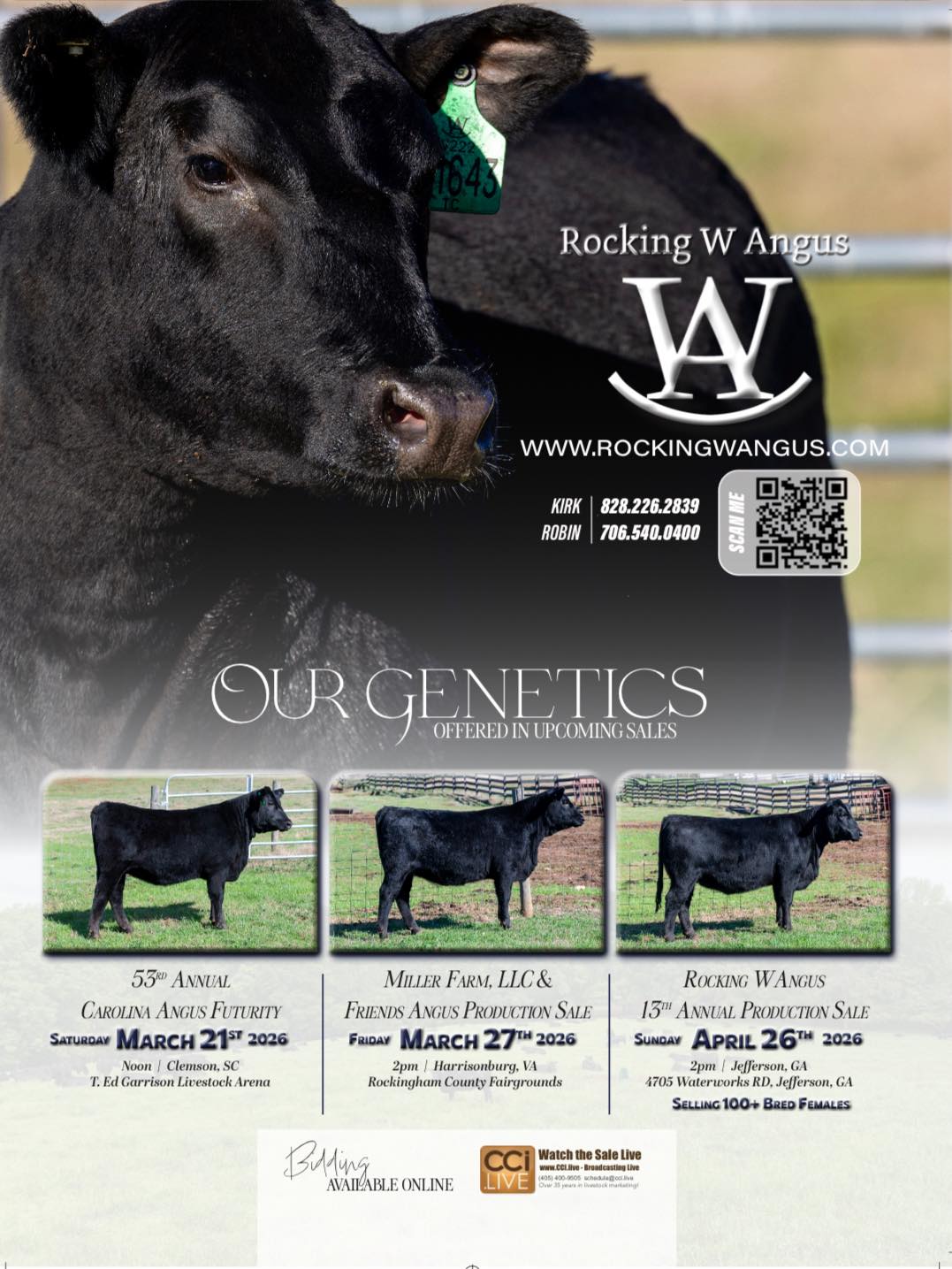 Rocking - Spring Sale season is rapidly approaching look to these up ...