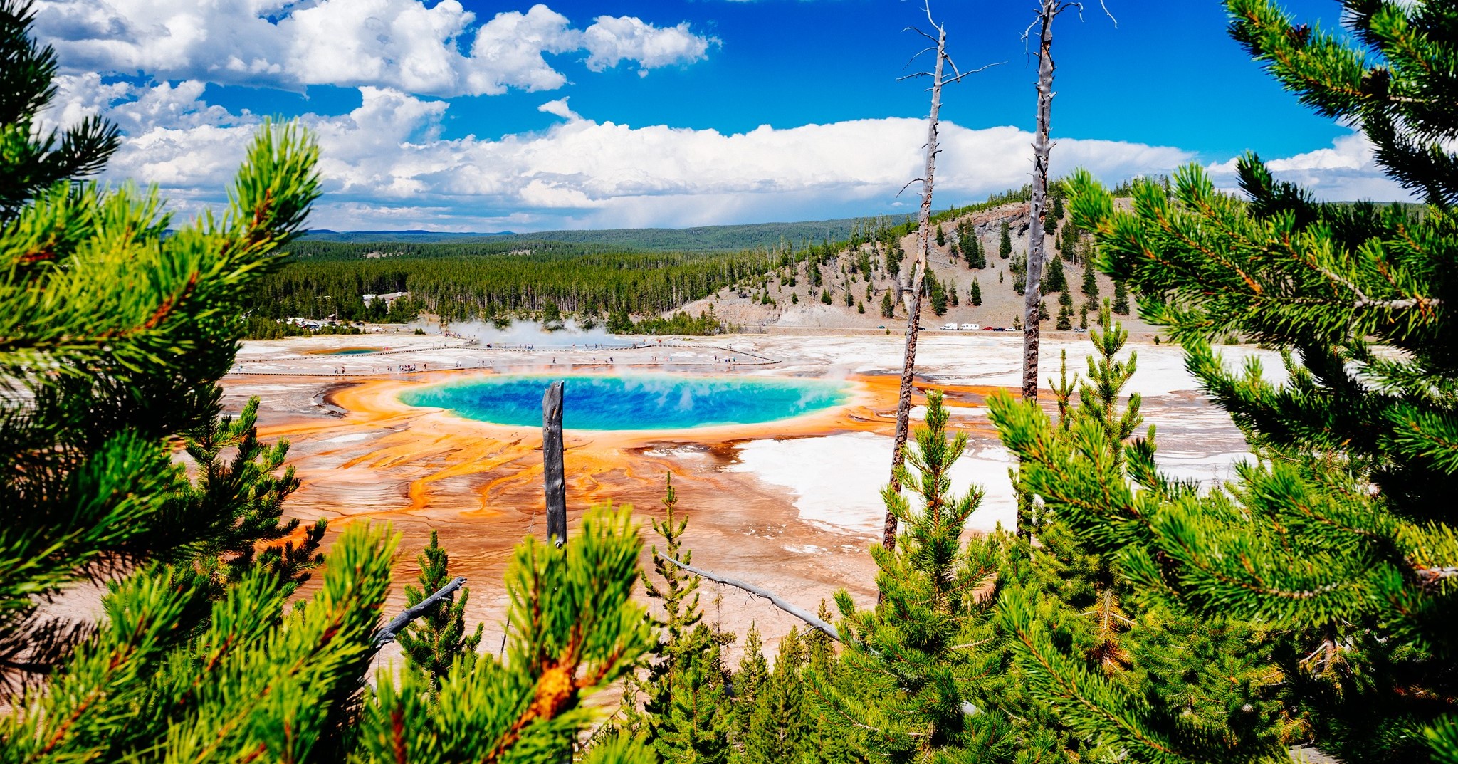 Did you... - Freedom Destinations - The USA & Canada Experts
