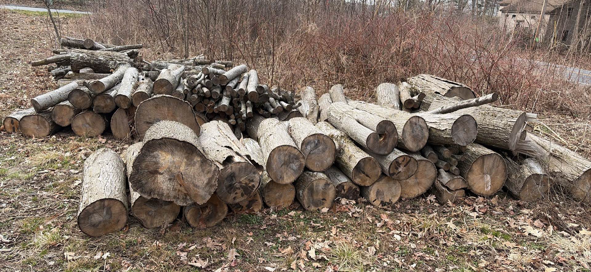 Firewood - 2025 Unsplit hardwood. - Miscellaneous - Ballston Spa, New ...