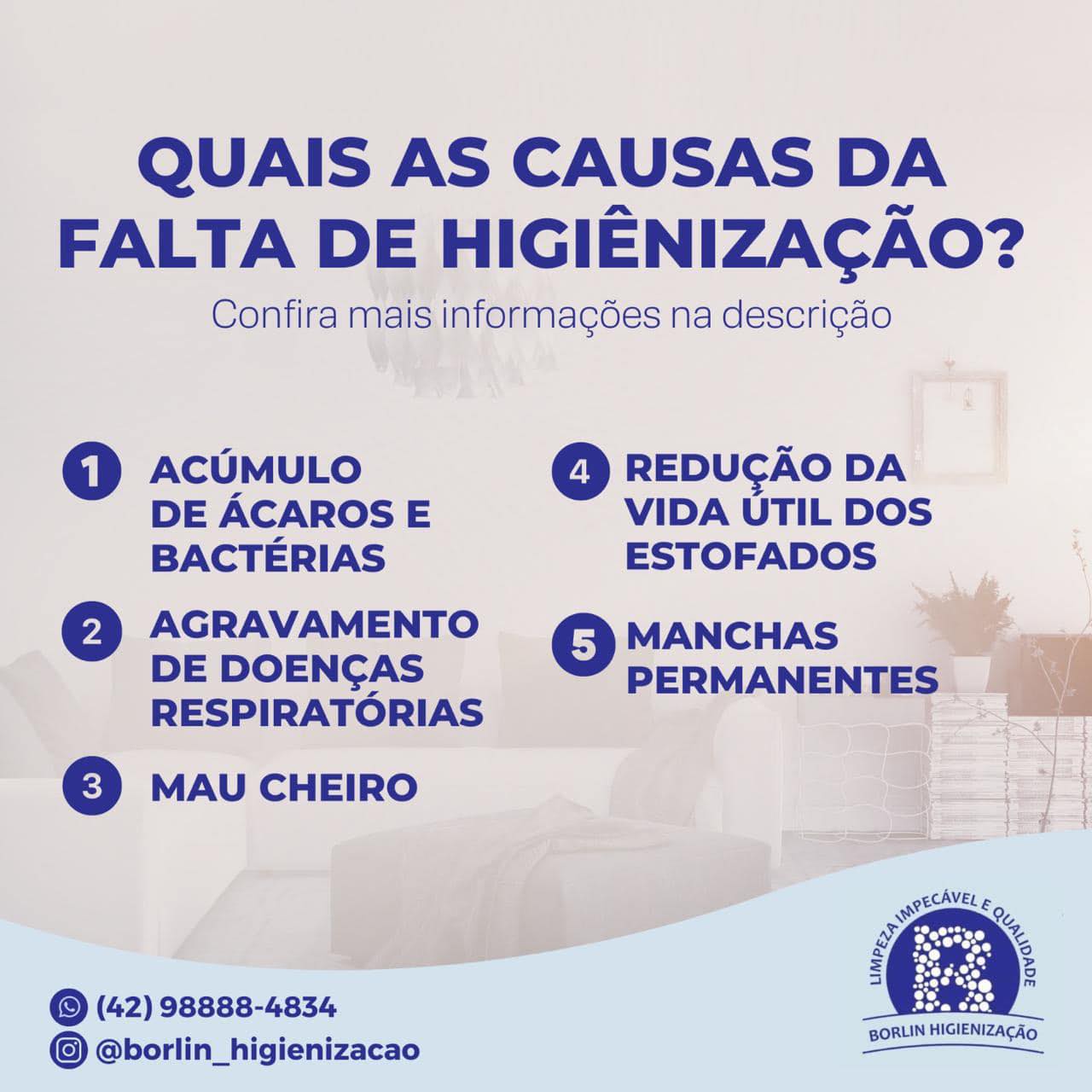 Borlin higienização | São Mateus do Sul PR