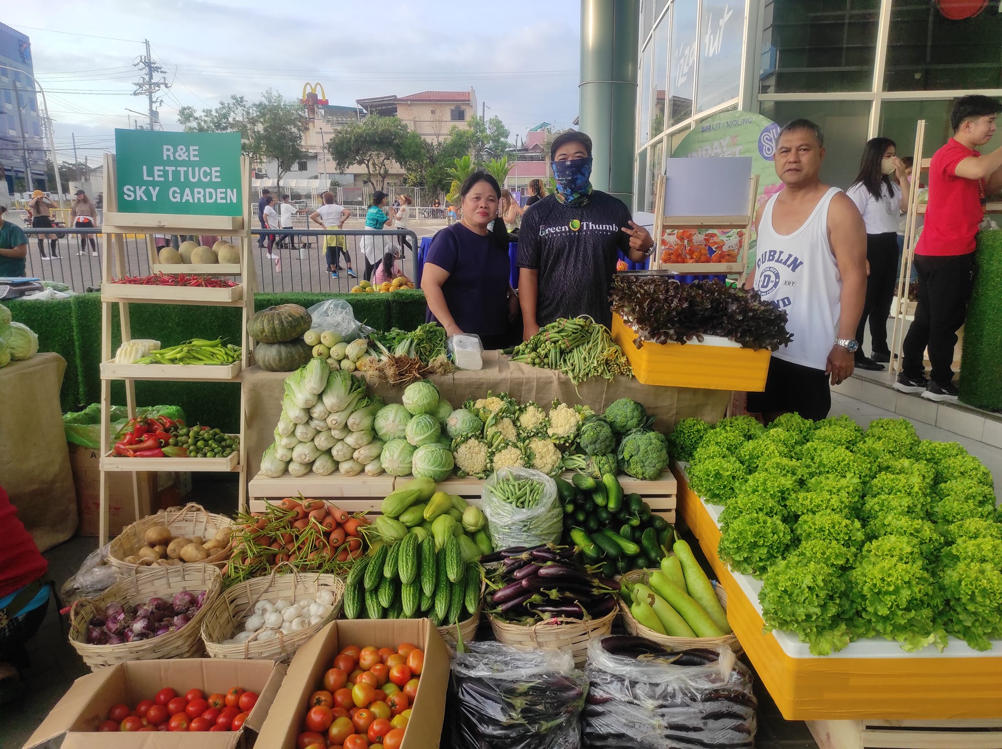 The Green Thumb Hydroponics Farm | Imus