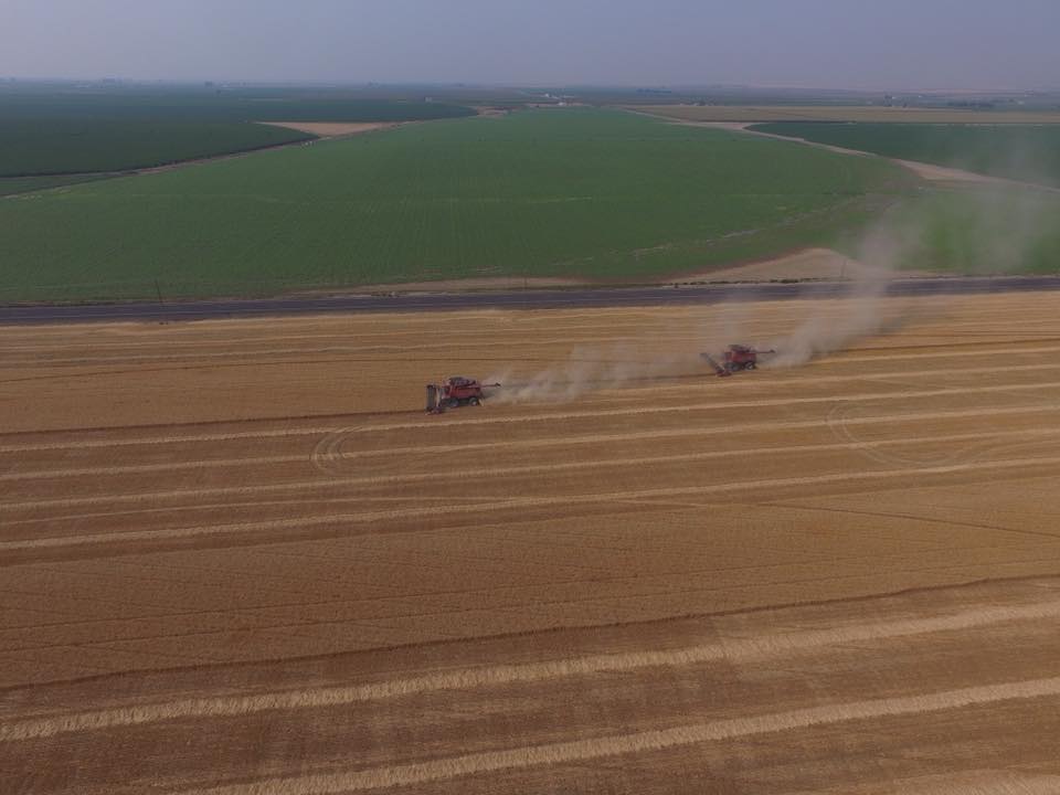 Easterday Custom Harvesting | Basin City WA