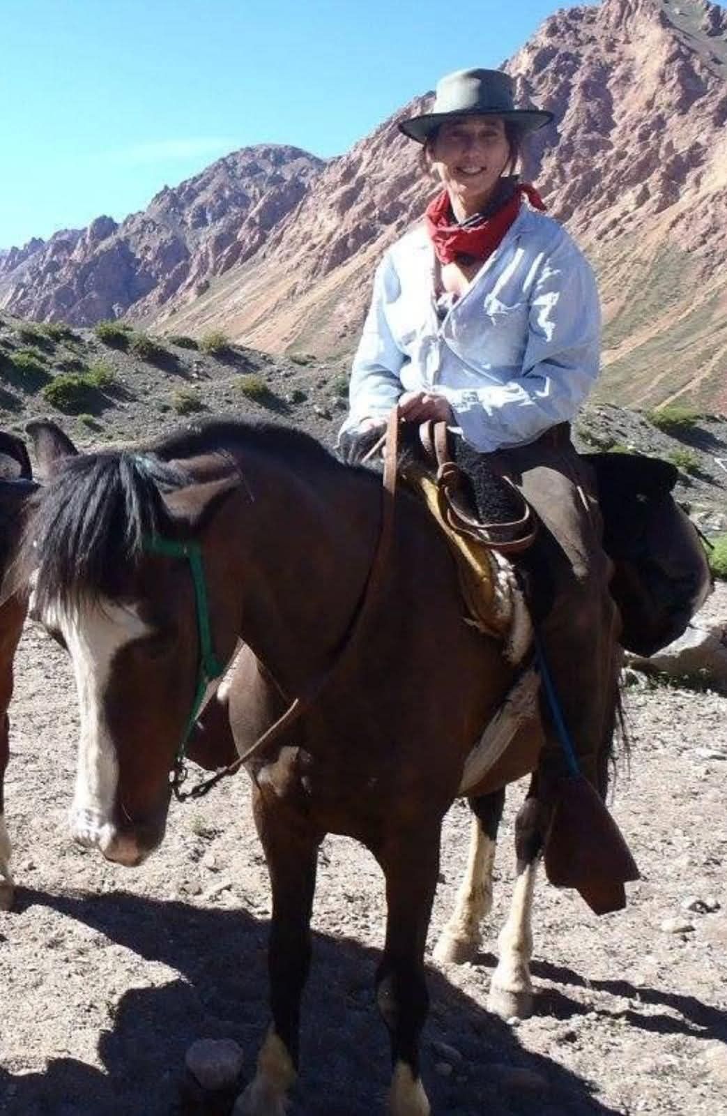 🌟 Big News! 🌟 Mandi Shipton... - All-Steps Formation Riding | Facebook