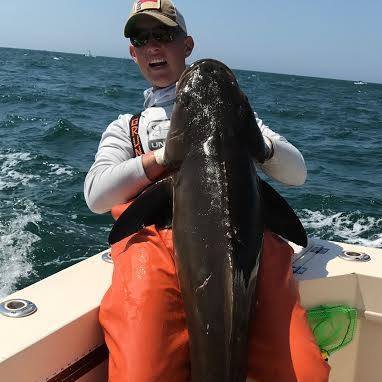 Download Some sharks showed up to hang with... - Outdooraddictionsusa