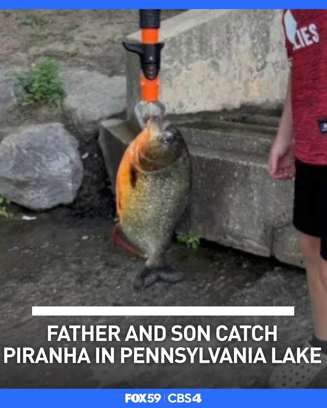 bags with rain cover Osprey Ultralight Raincover – Feathered Friends When you backpack long Say hello to the bagpack color:GRN