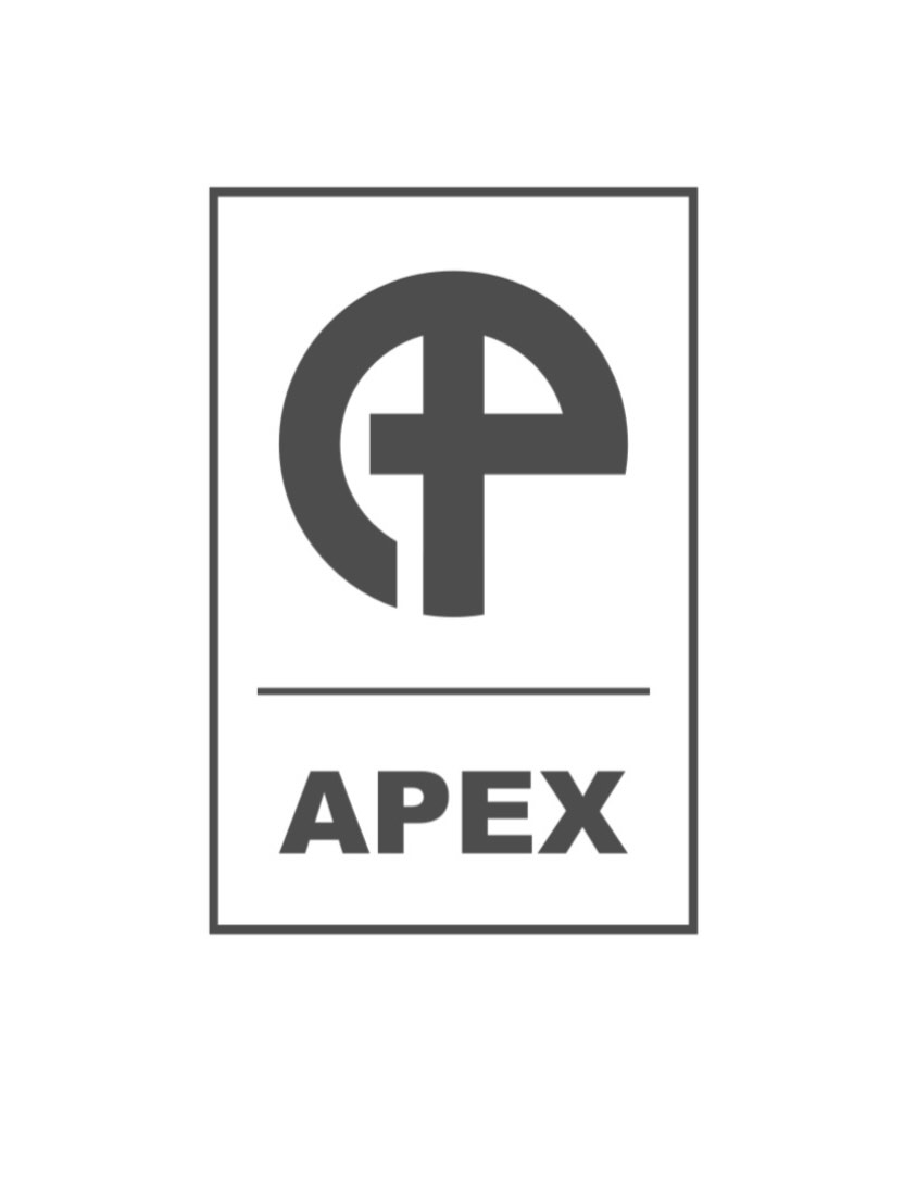 APEX CSTM Snowboards JAPAN | Nagoya-shi Aichi