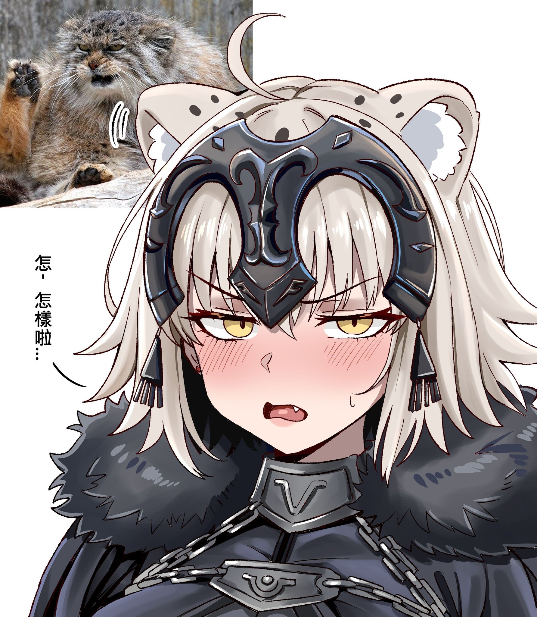 Bear Boss - 黑貞是個可愛的兔孫寶寶 我覺得應該分享給大家知道 | Facebook
