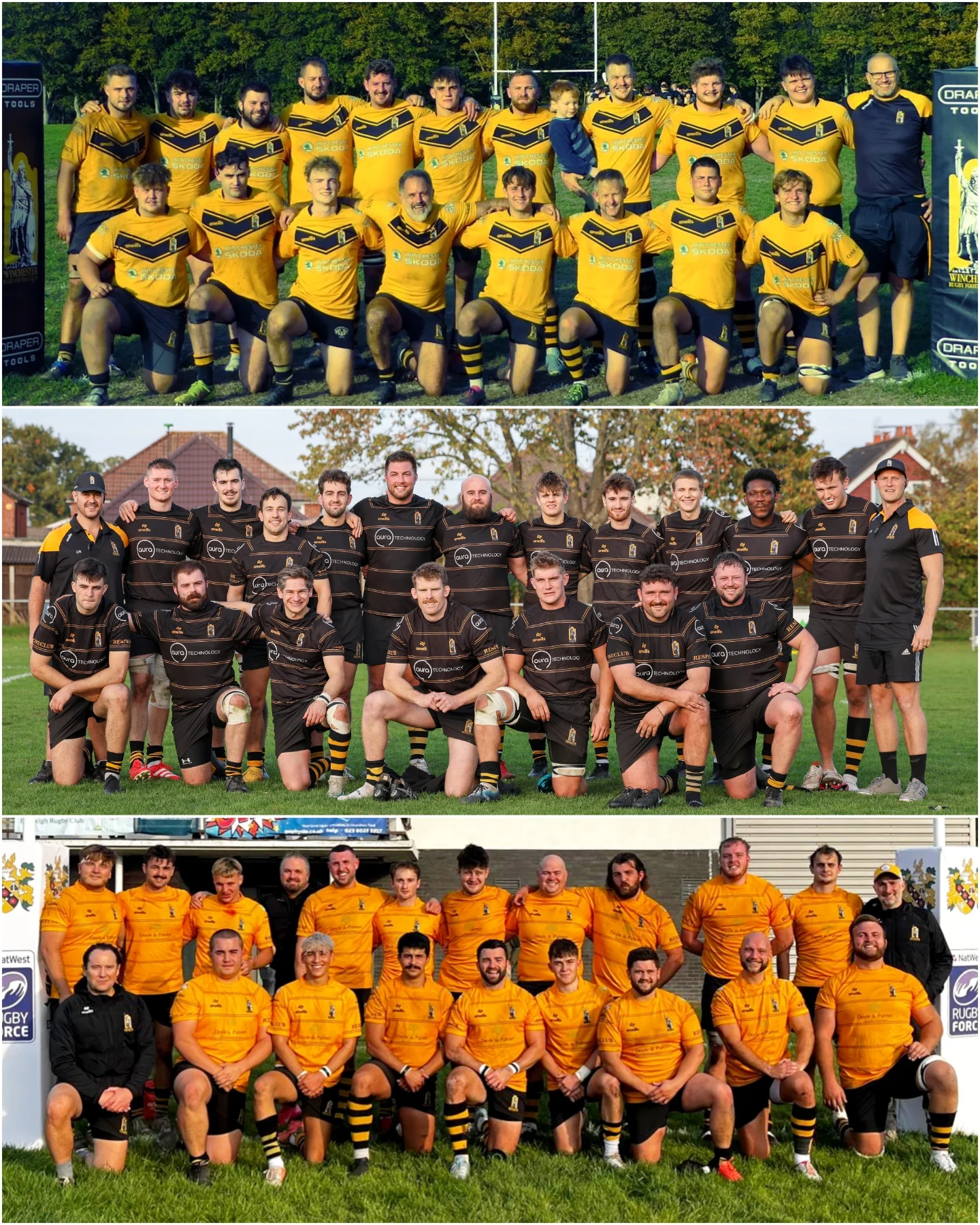 Winchester RFC - 🏉Winchester RFC pre-season training times 🏉 Women's ...