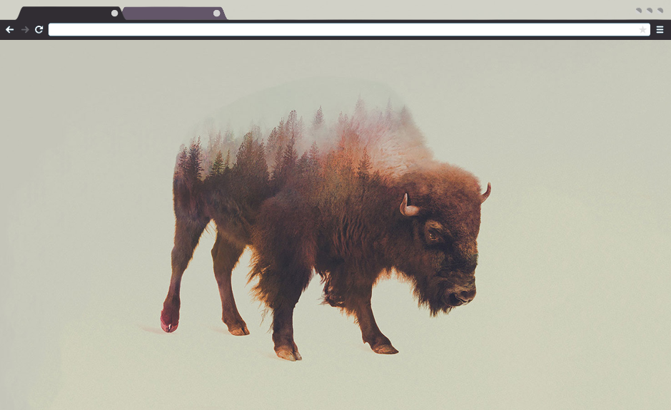 1st Browser