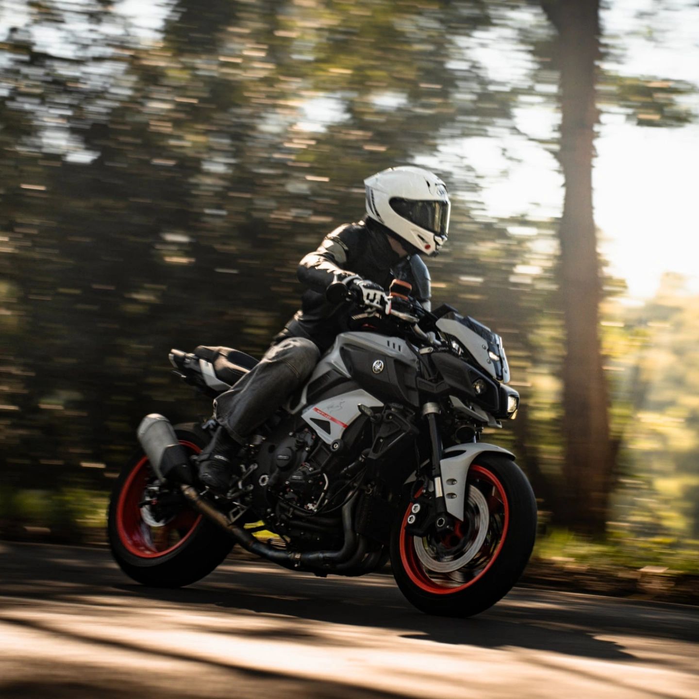 Replacement o2 sensor for Yamaha MT10?