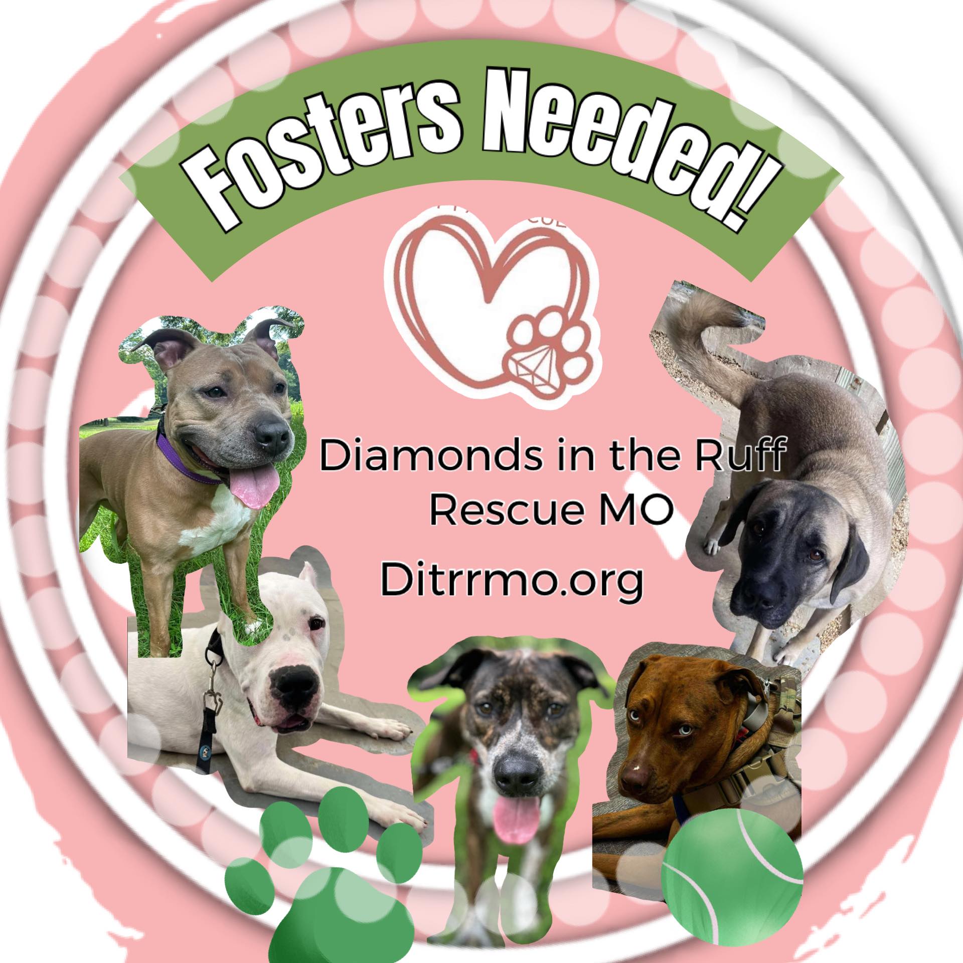 Diamonds in the Ruff... - Diamonds in the Ruff Rescue MO