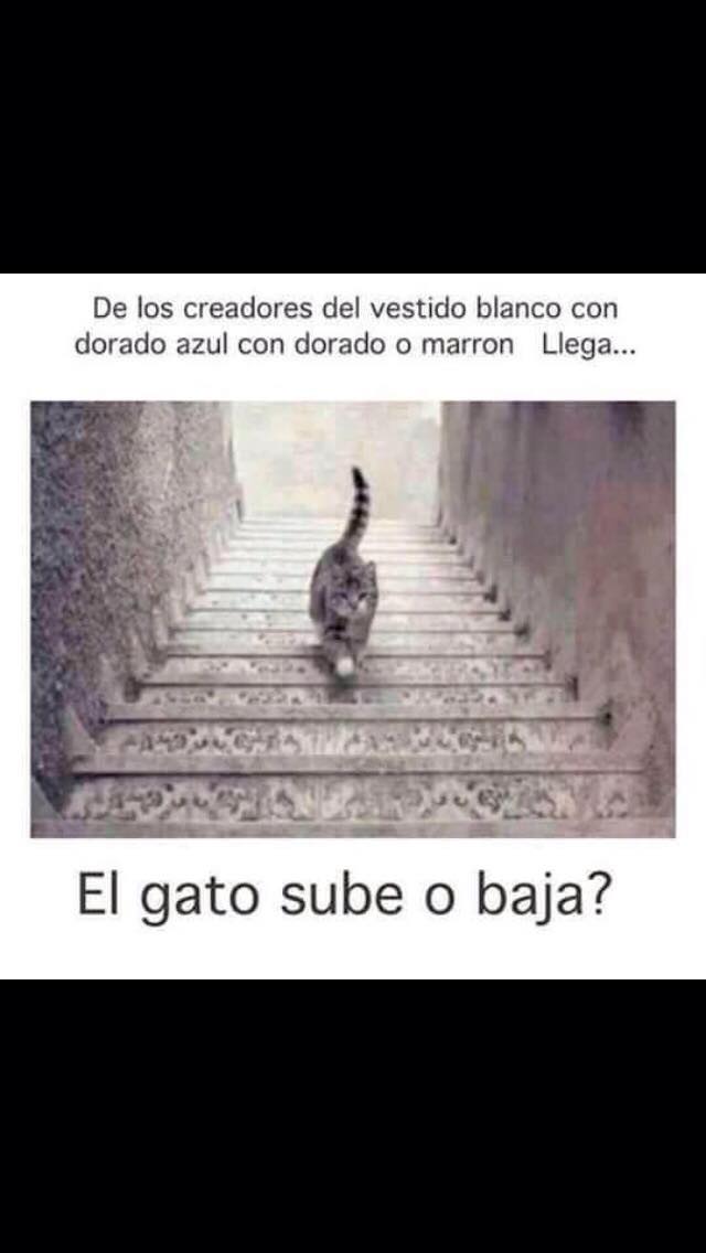 ME CAGA QUE ME IGNOREN!!!!