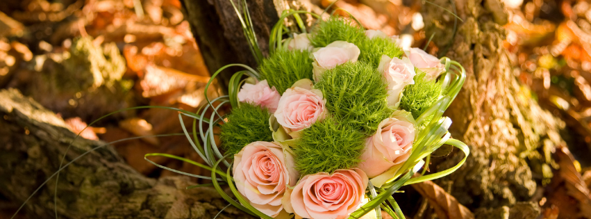 Lamberts Flower Company | Welwyn Garden City