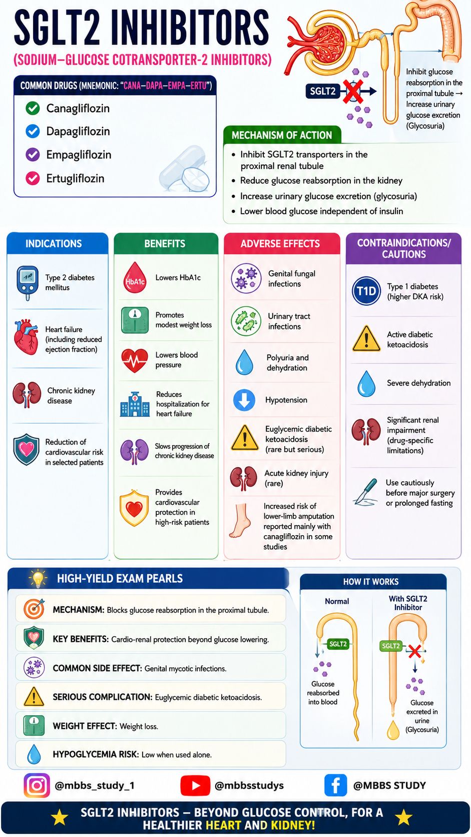 is semaglutide a sglt2 inhibitor Temporal Changes in and GLP-1 Receptor Agonist Use in Patients with Chronic Kidney Disease and Type 2 Diabetes, 20122023: US Cohort Study | Diabetes Therapy Frontiers | Effects of SGLT2