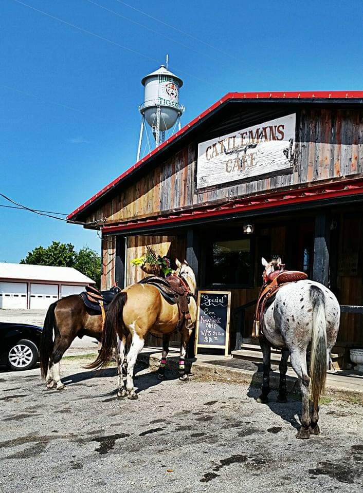 BARNes Sale in Blue Ridge, TX
