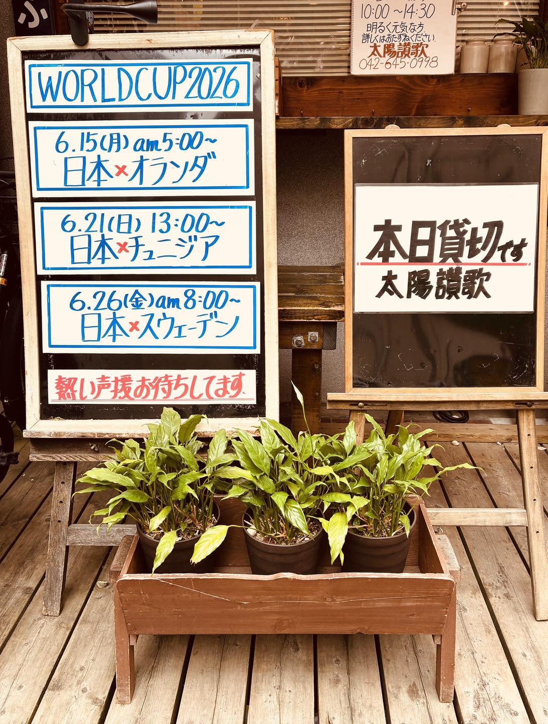LPレコード 太陽讃歌 ハルモニア 太陽讃歌【状態：B 】 【公式