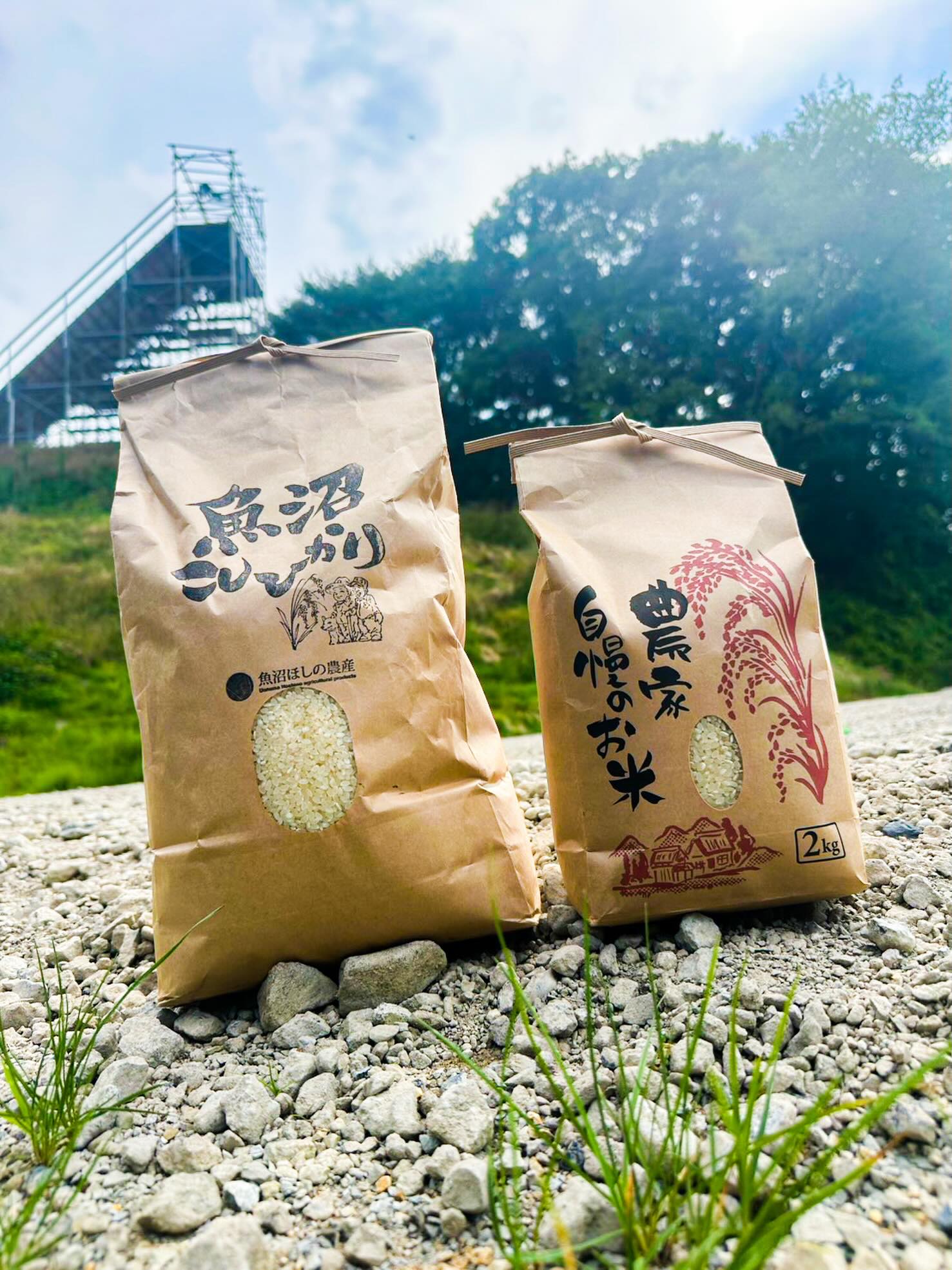 埼玉Quest (@questsaitama) • Facebook