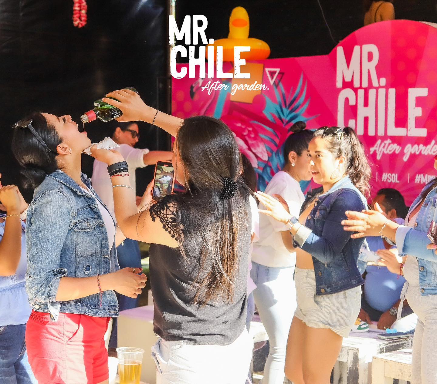 Mr. Chile | Metepec