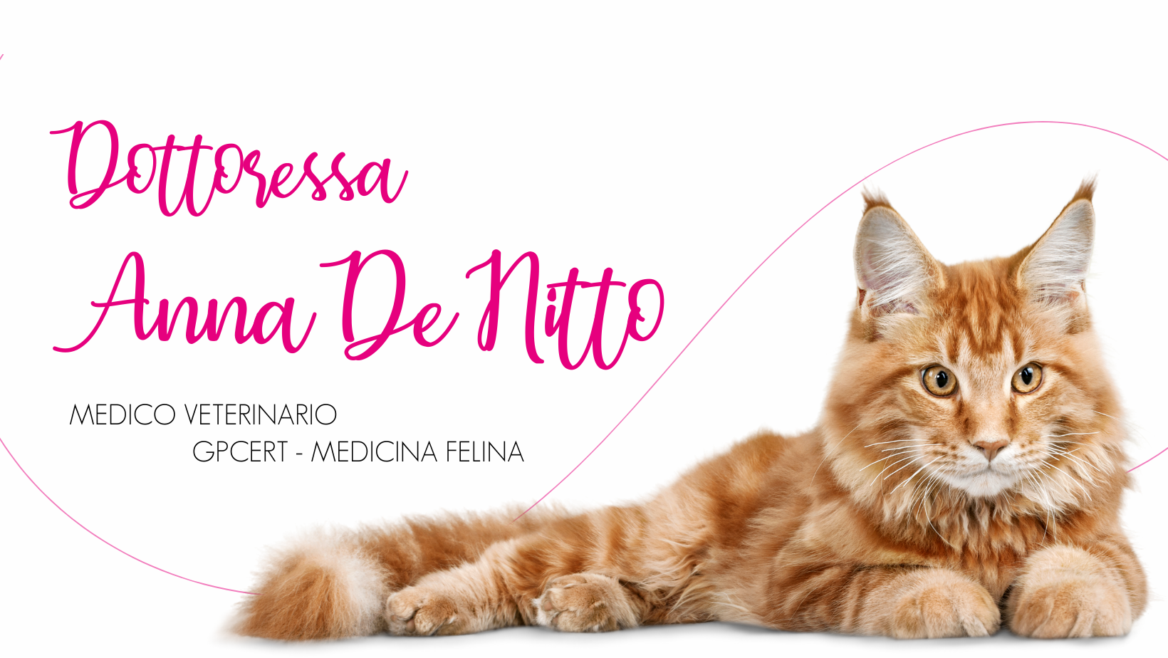 Dott.ssa Anna De Nitto - Veterinaria per gatti
