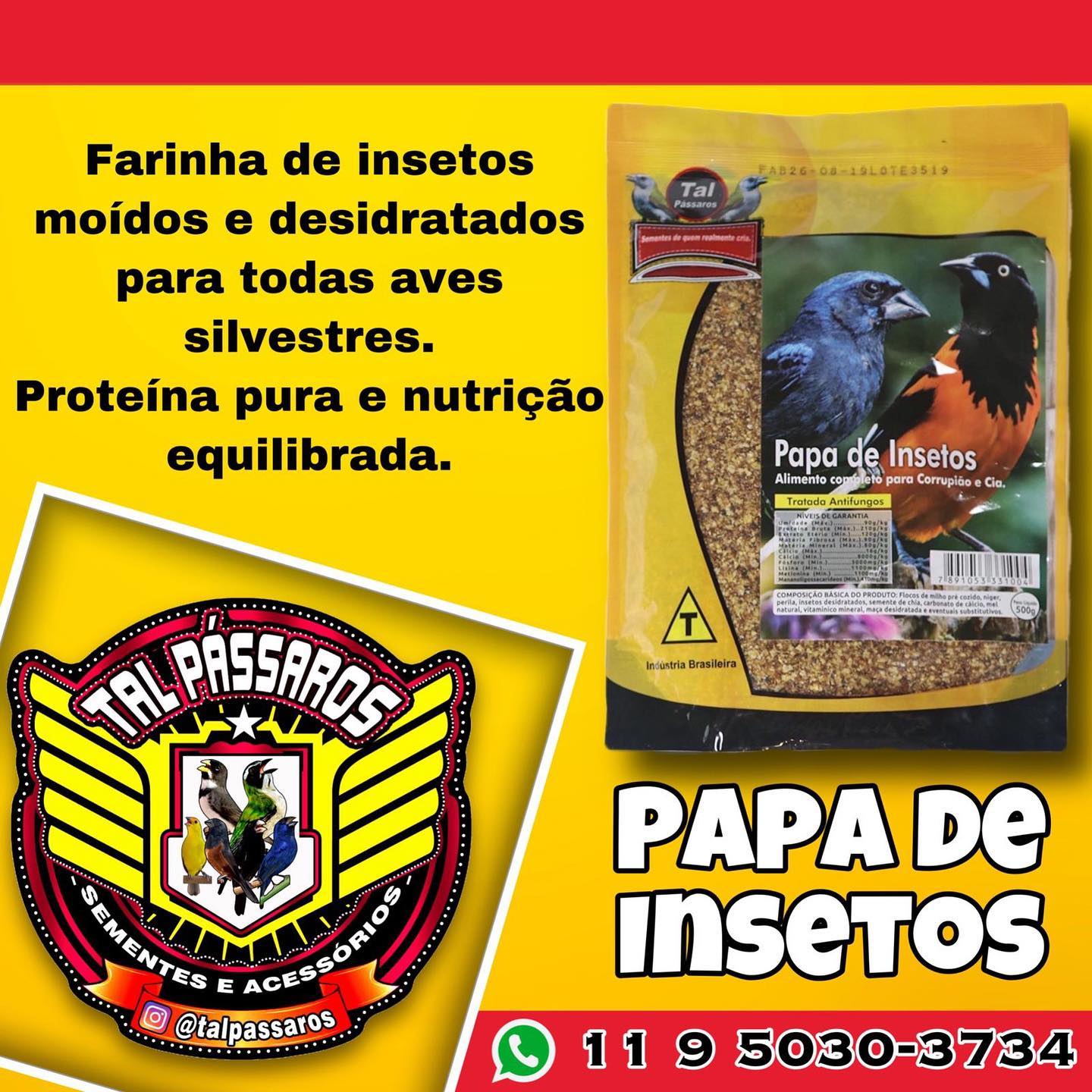 Tal - Farinhada Para Pássaros Silvestres! Nutrição equilibrada, com ...