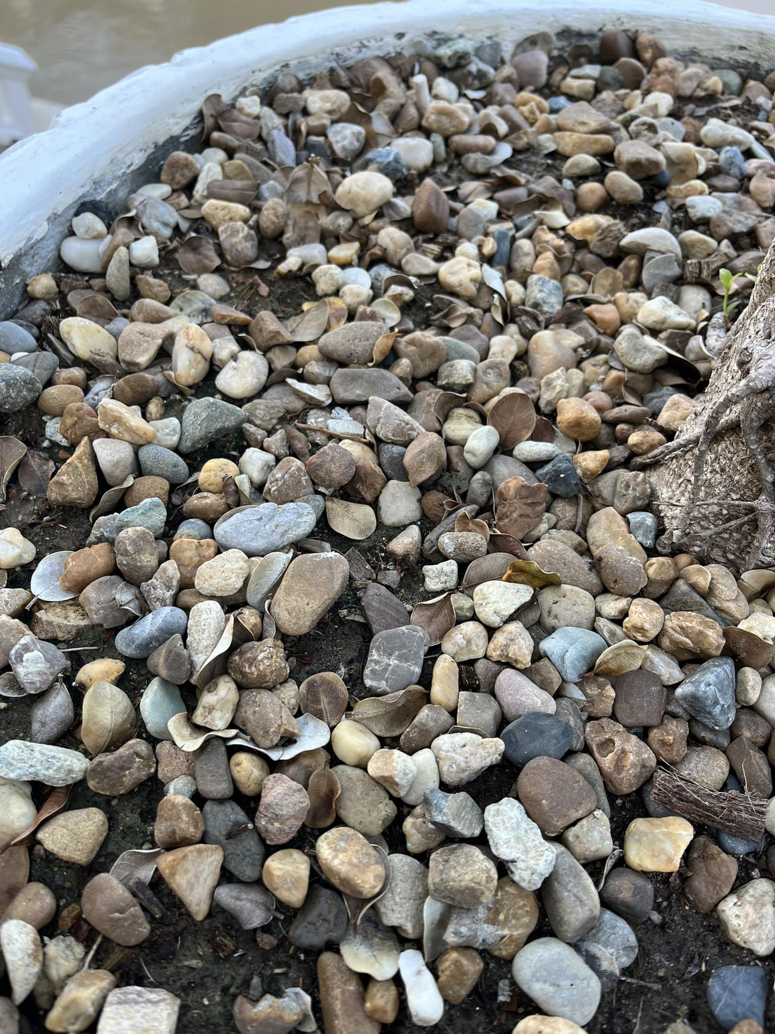 Expats in Hua Hin | Wanting to use small rocks to cover my 50m driveway ...