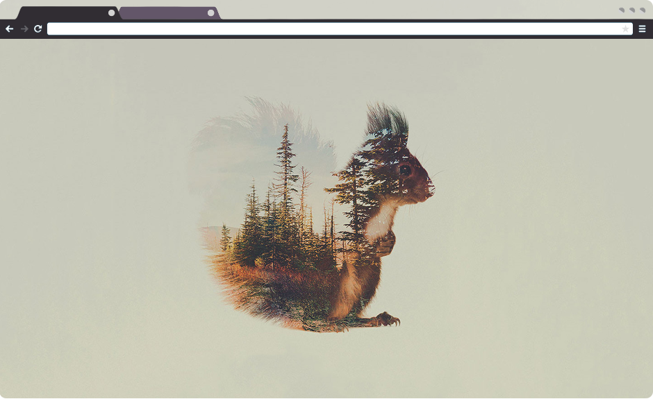1st Browser