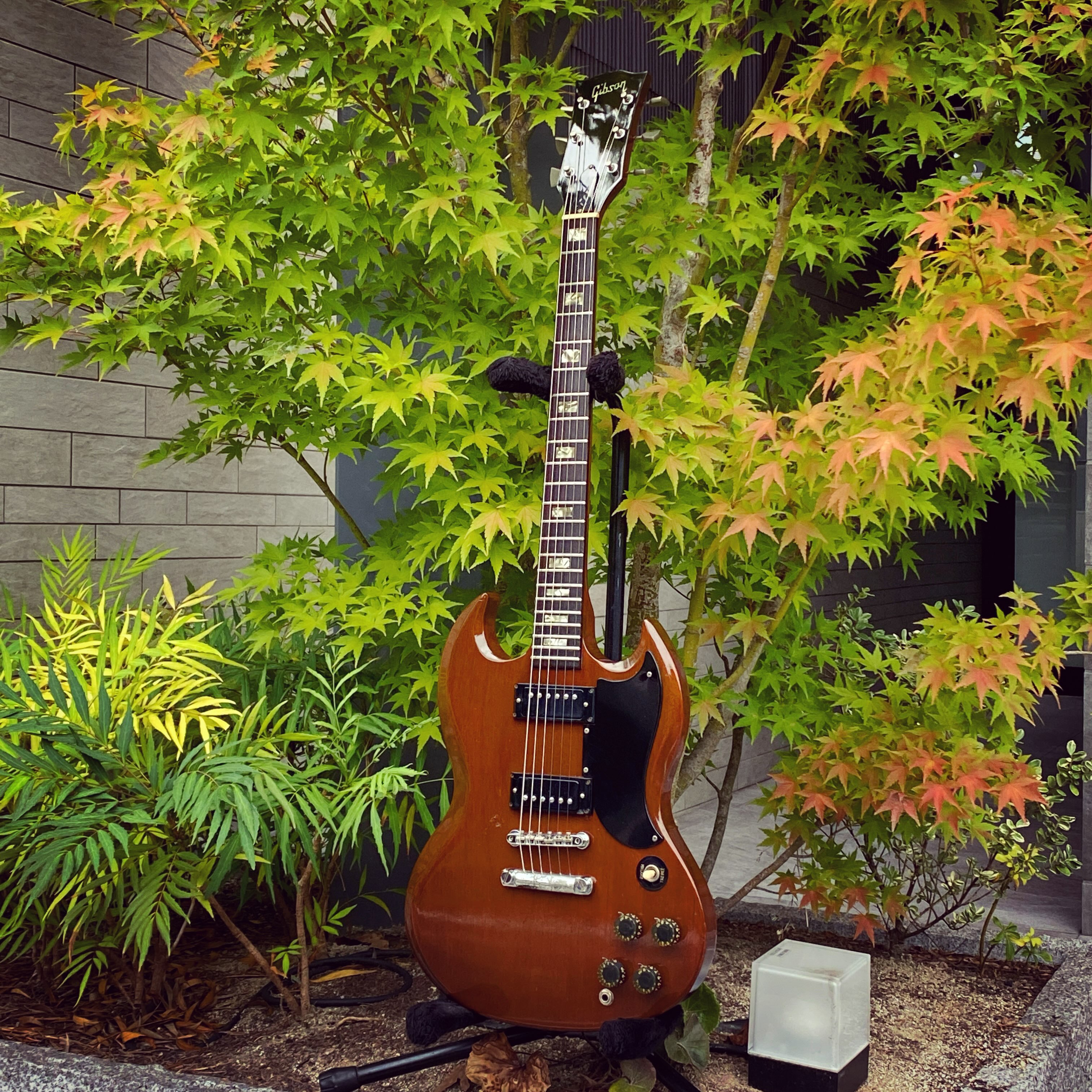 Firstman Byrdland Special 1960s ファーストマンは1960年代のGS黄金期