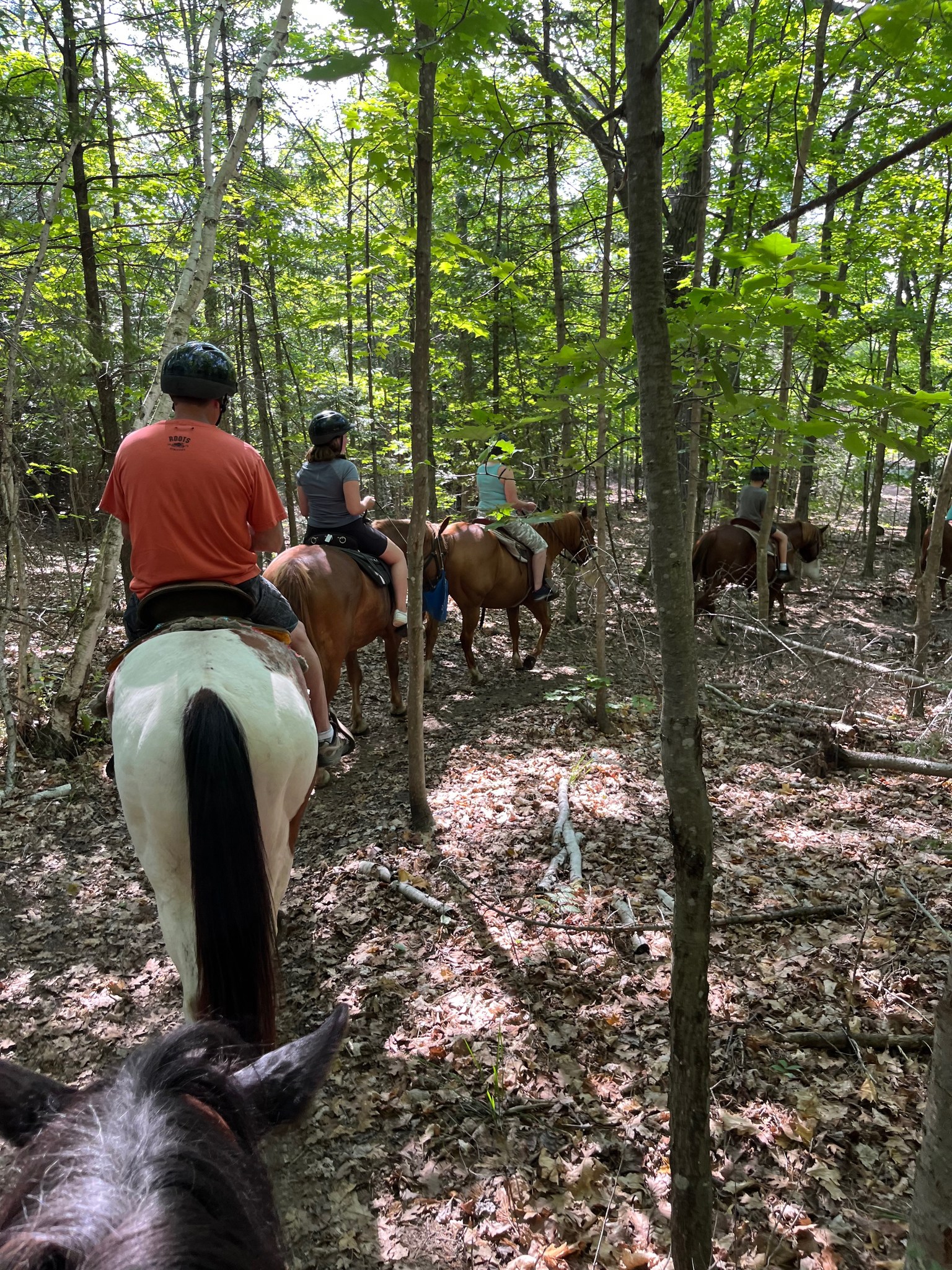 Kicking Mule Riding Stable & Cookhouse | Tehkummah ON