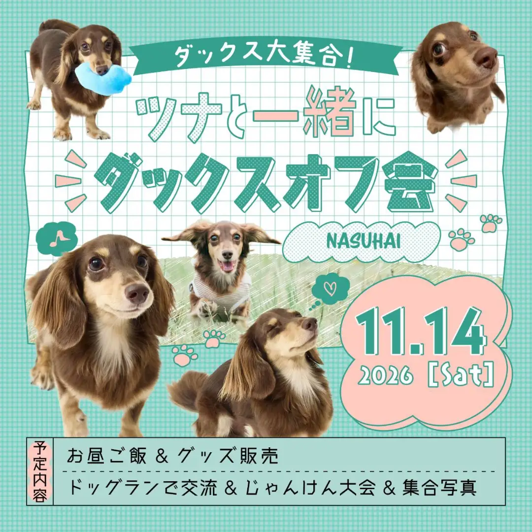 🐬フィッシャーズ×那須ハイランドパーク🎡 フィッシャーズとのコラボ