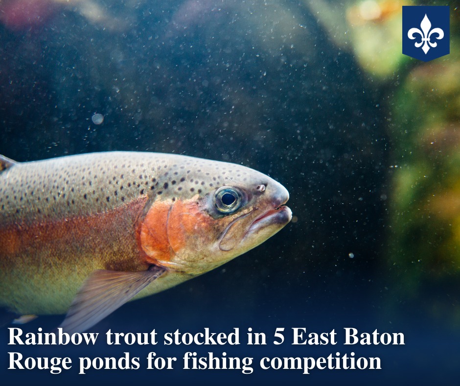 Louisiana - Five BREC park ponds are stocked for the annual rainbow ...