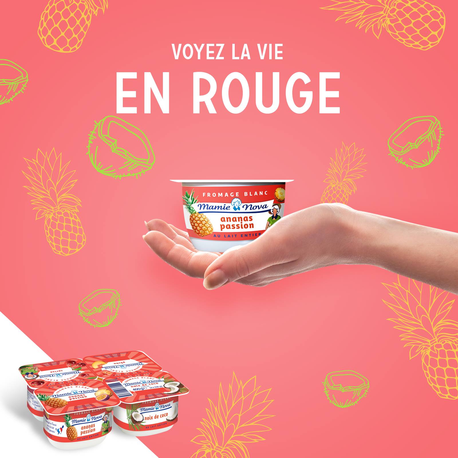 Fromage Blanc Aux Fruits Mamie Nova