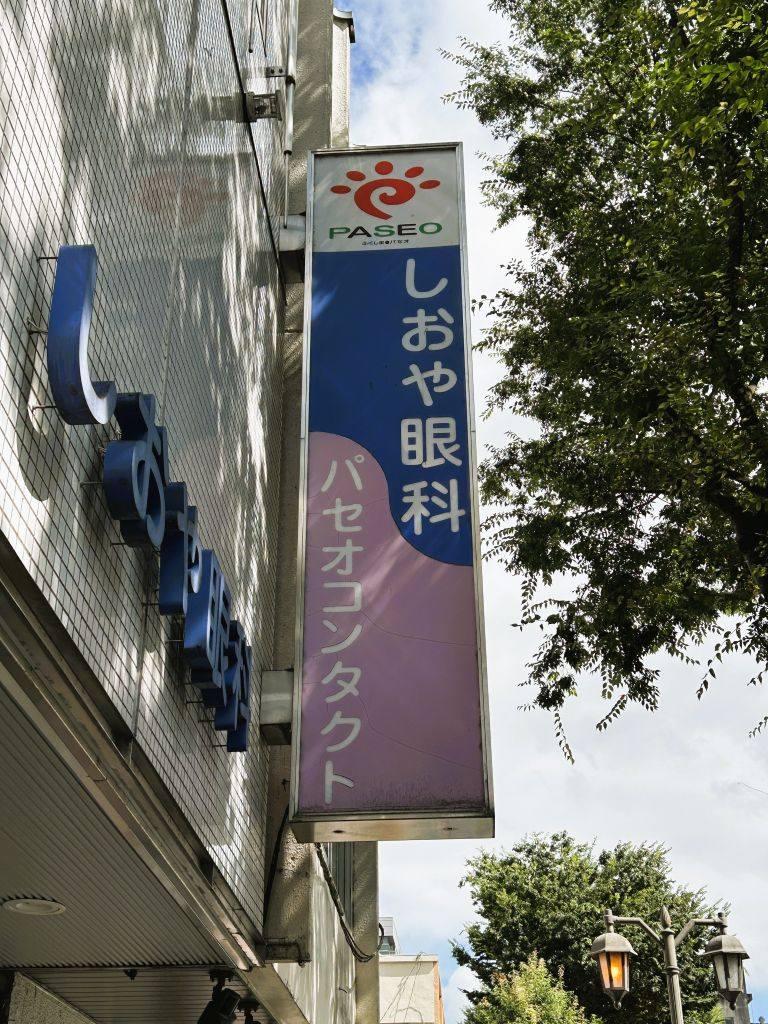 活動歴および当時の関連ビジュアル記録