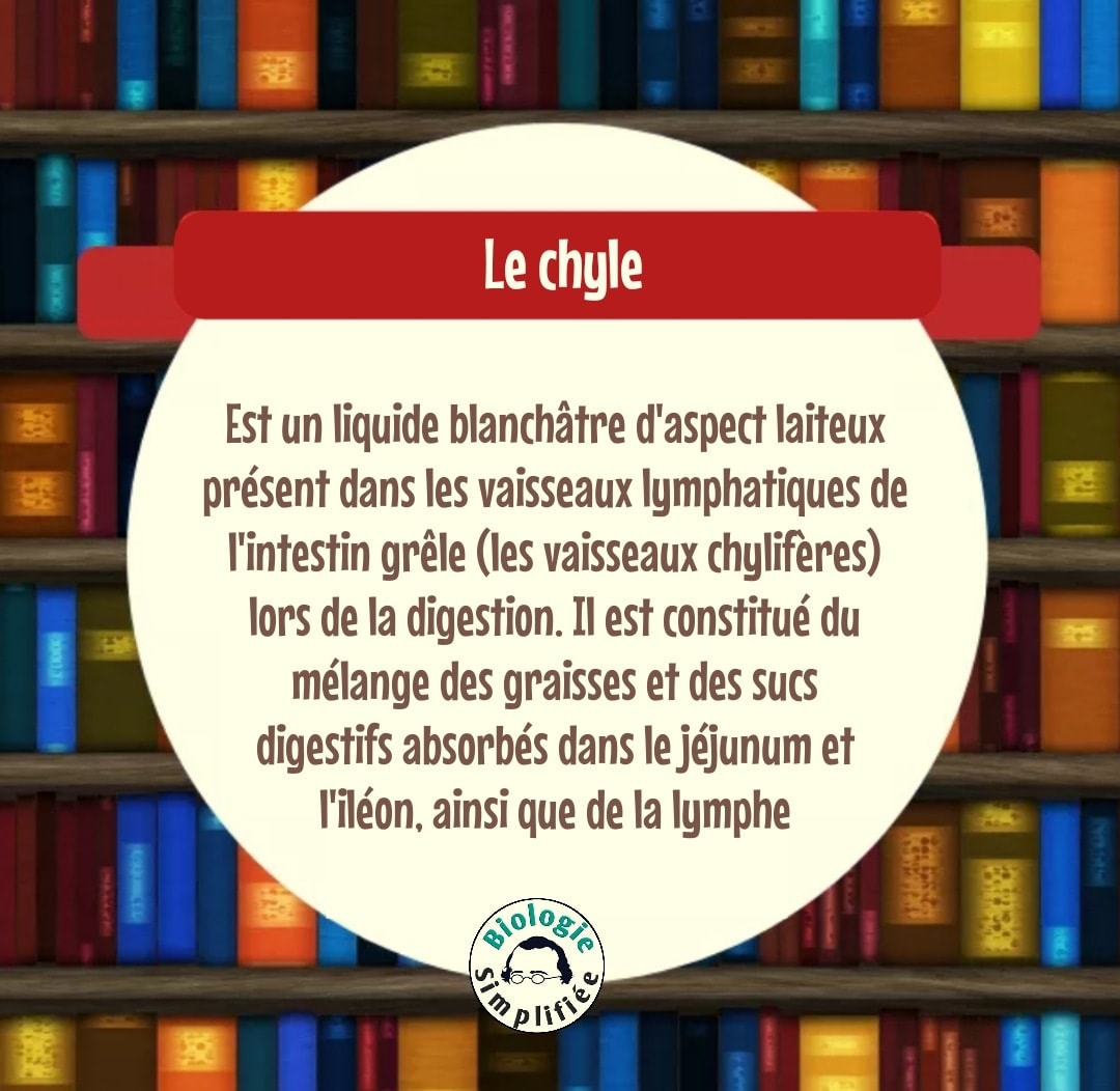 Le #Chyle - Biologie Simplifiée | Facebook