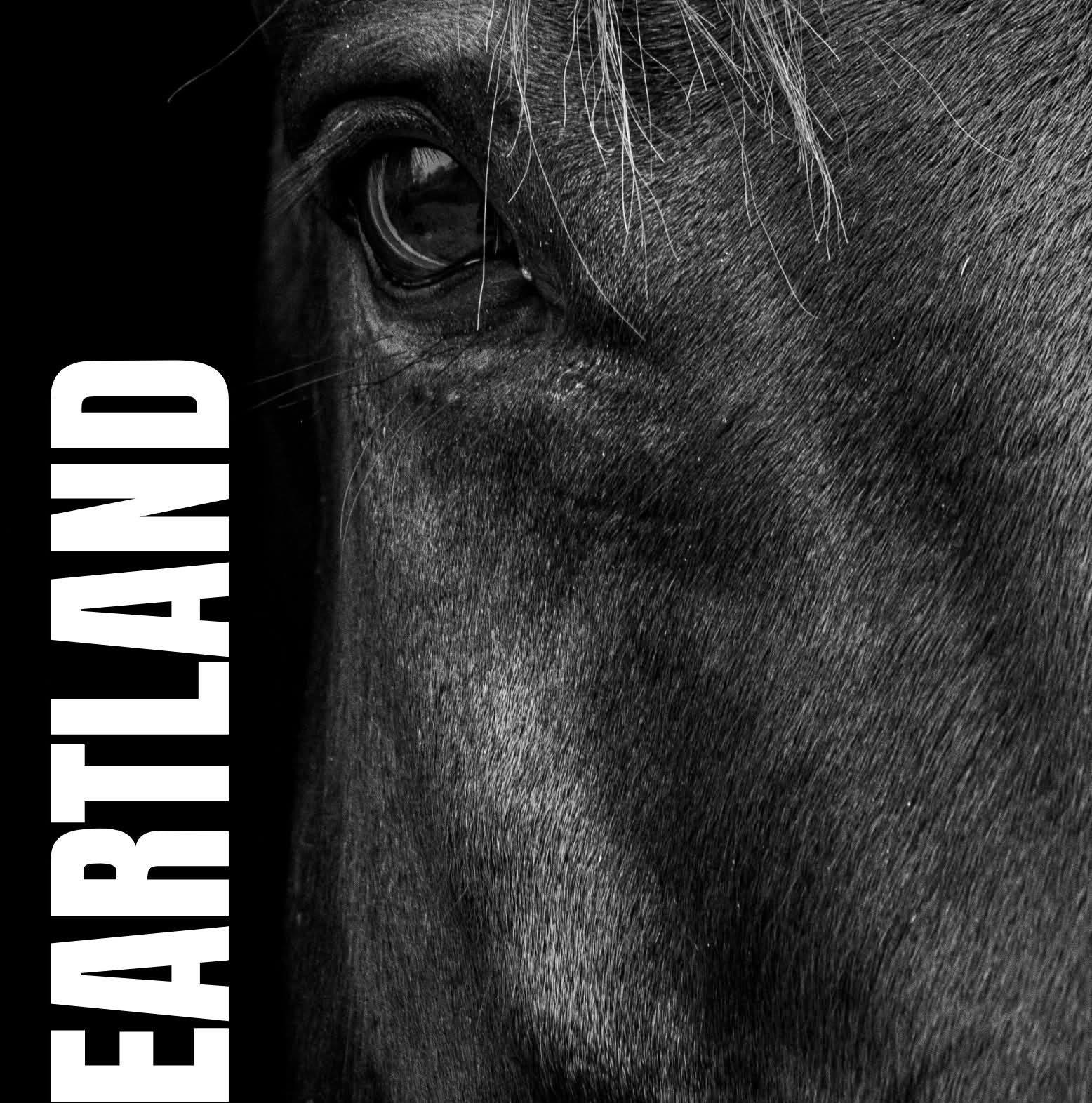 Is this little Palamino mare going grey? #horses #palamino #colours # ...