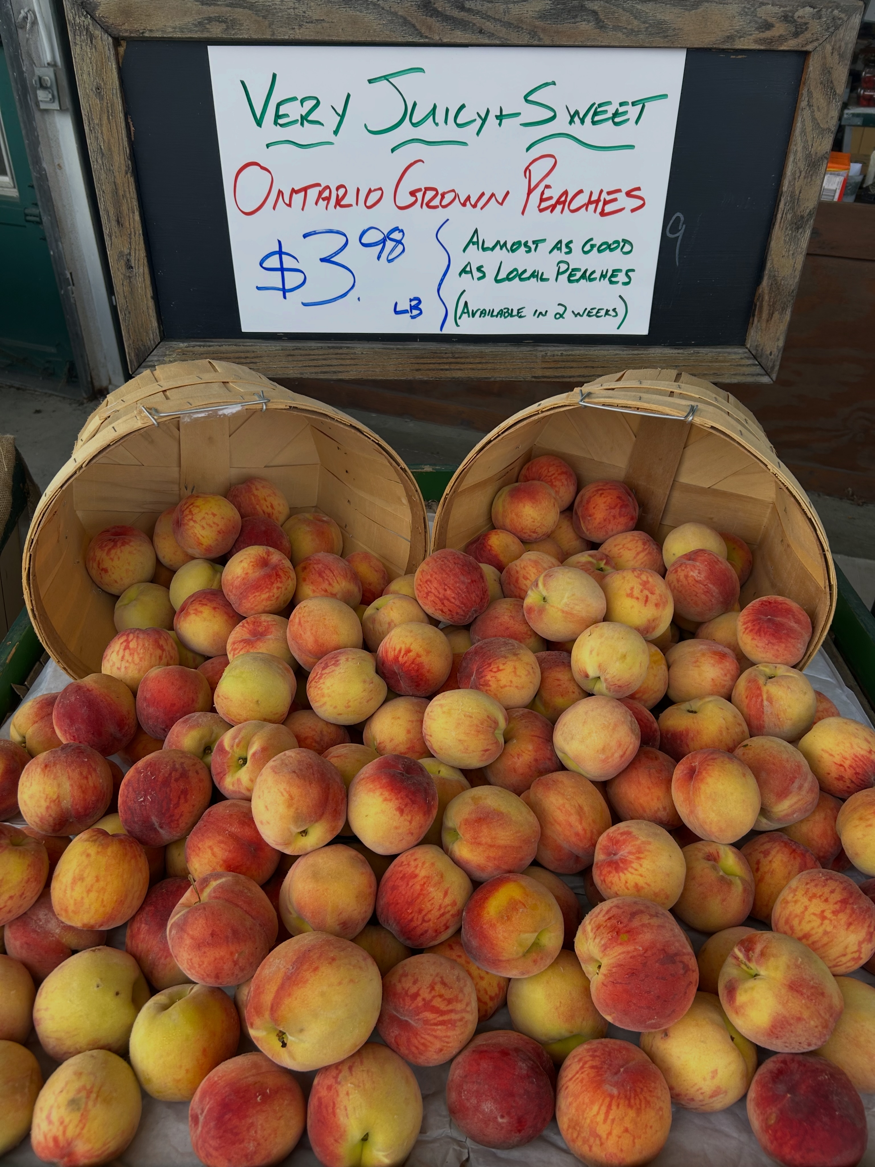 Quality Fruitland | Seekonk MA