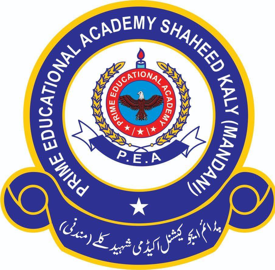 Prime Educational Academy Shaheed kaly ️ Class 5 G- science Activities ...