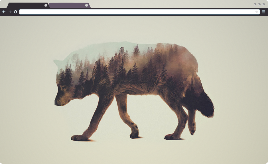 1st Browser