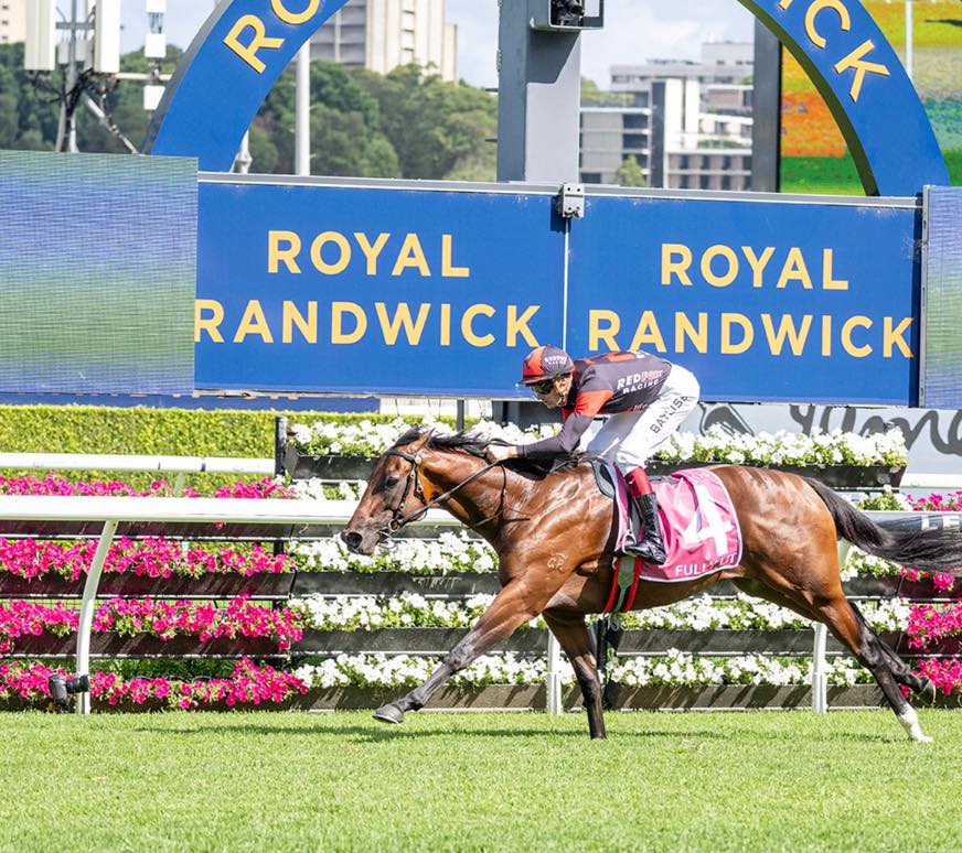 Redfox Racing Annual Yearling Parade