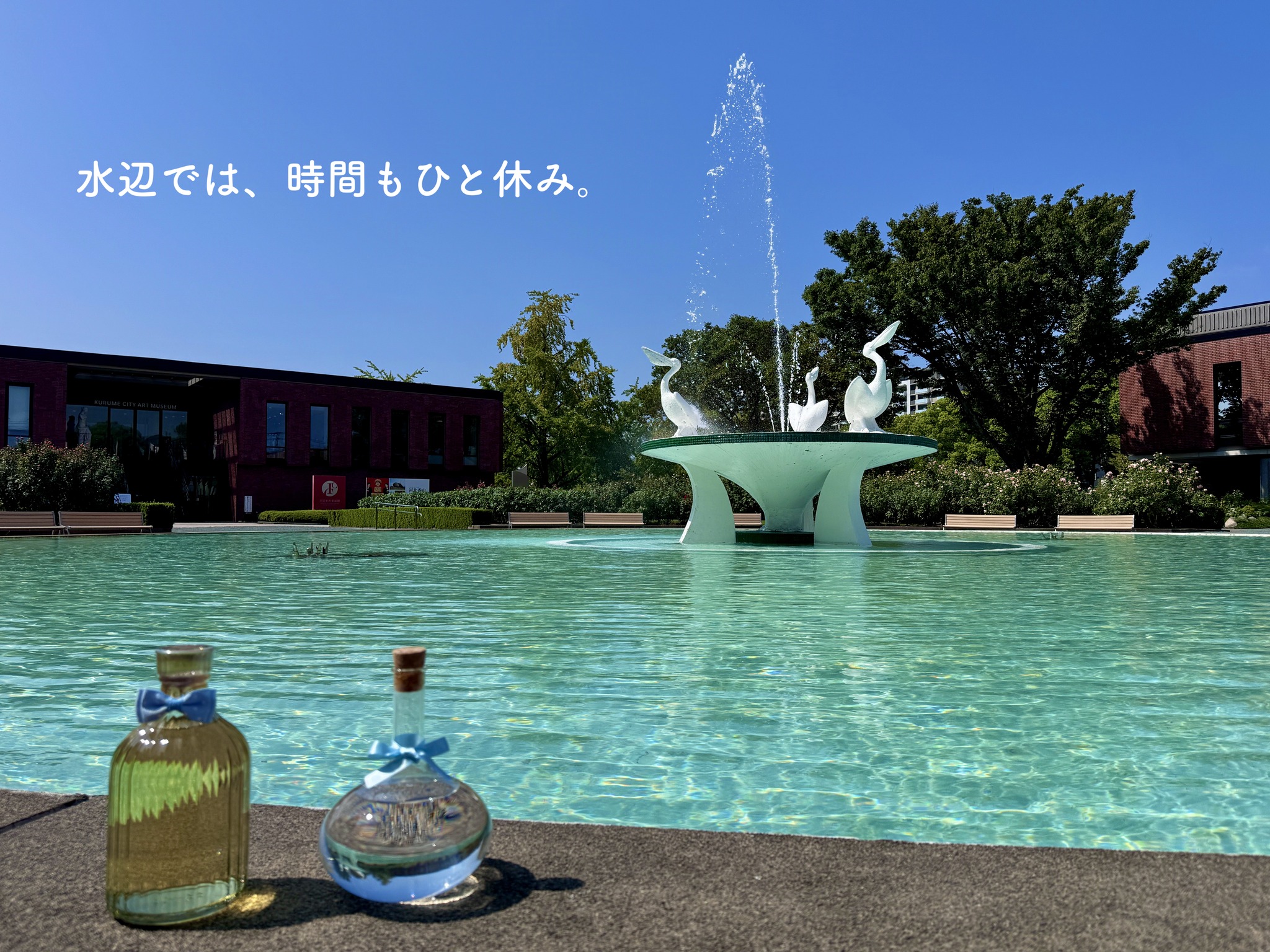 公の場での発言・インタビュー報道記録