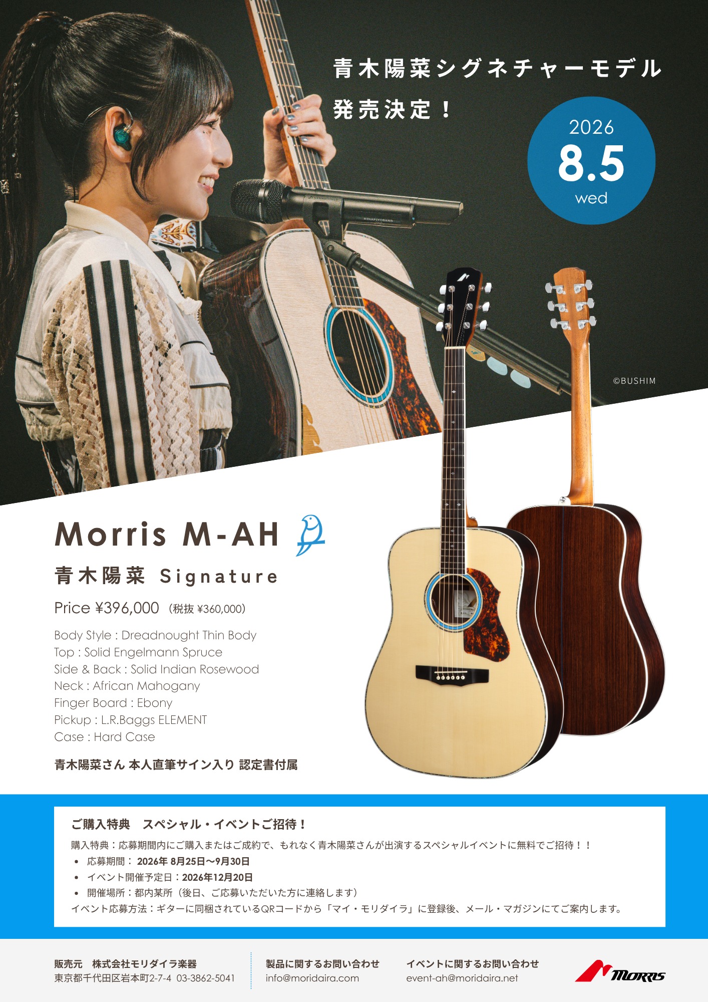 Dolphin Guitars(ドルフィンギターズ） | Suita-shi Osaka