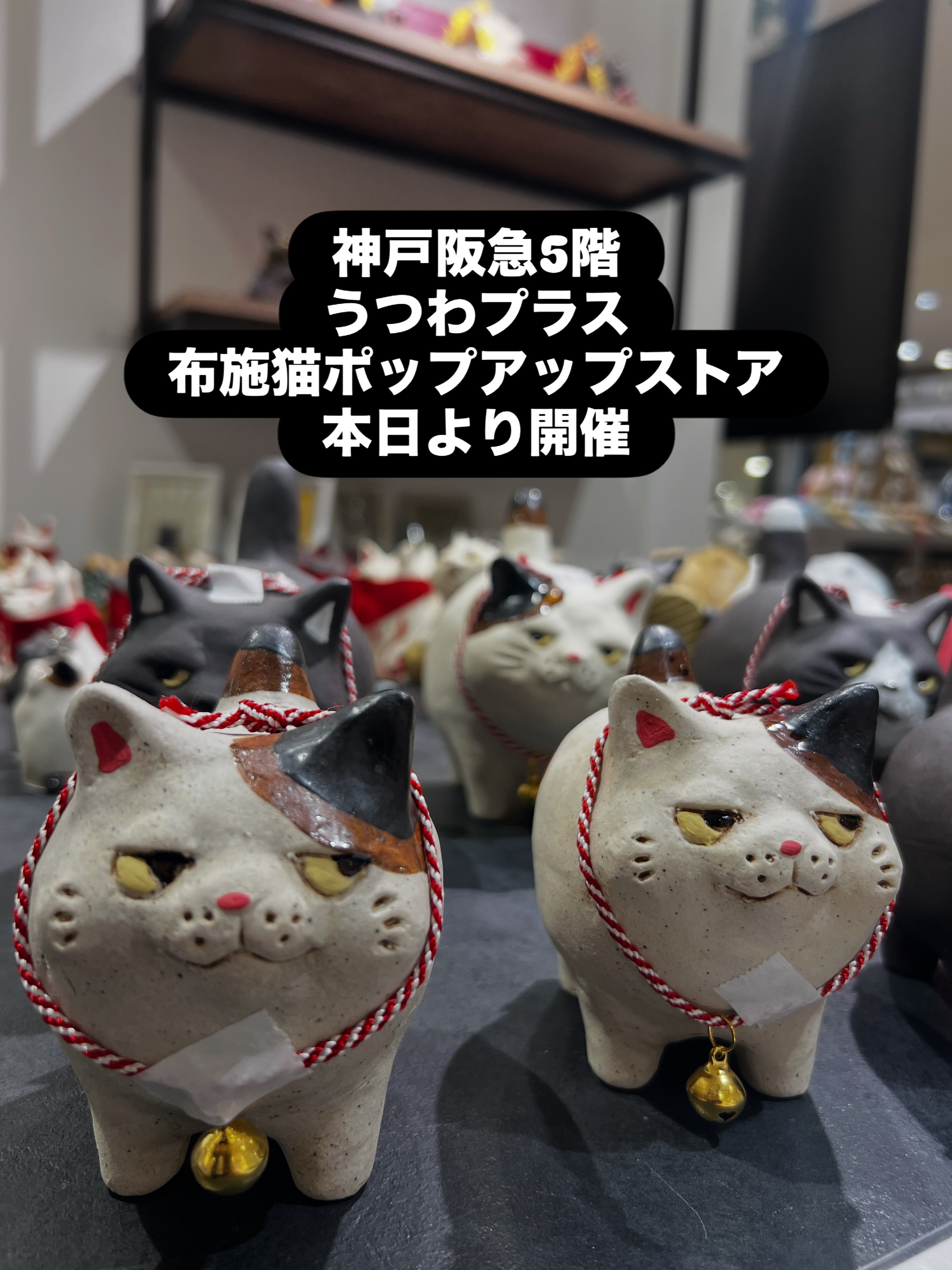 布施猫笑店 | Tendo-shi Yamagata