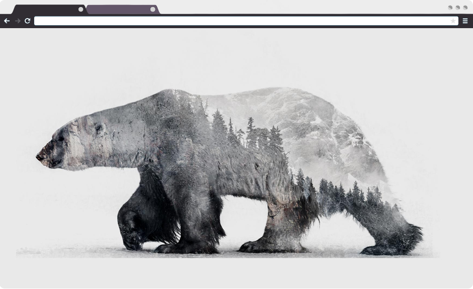 1st Browser