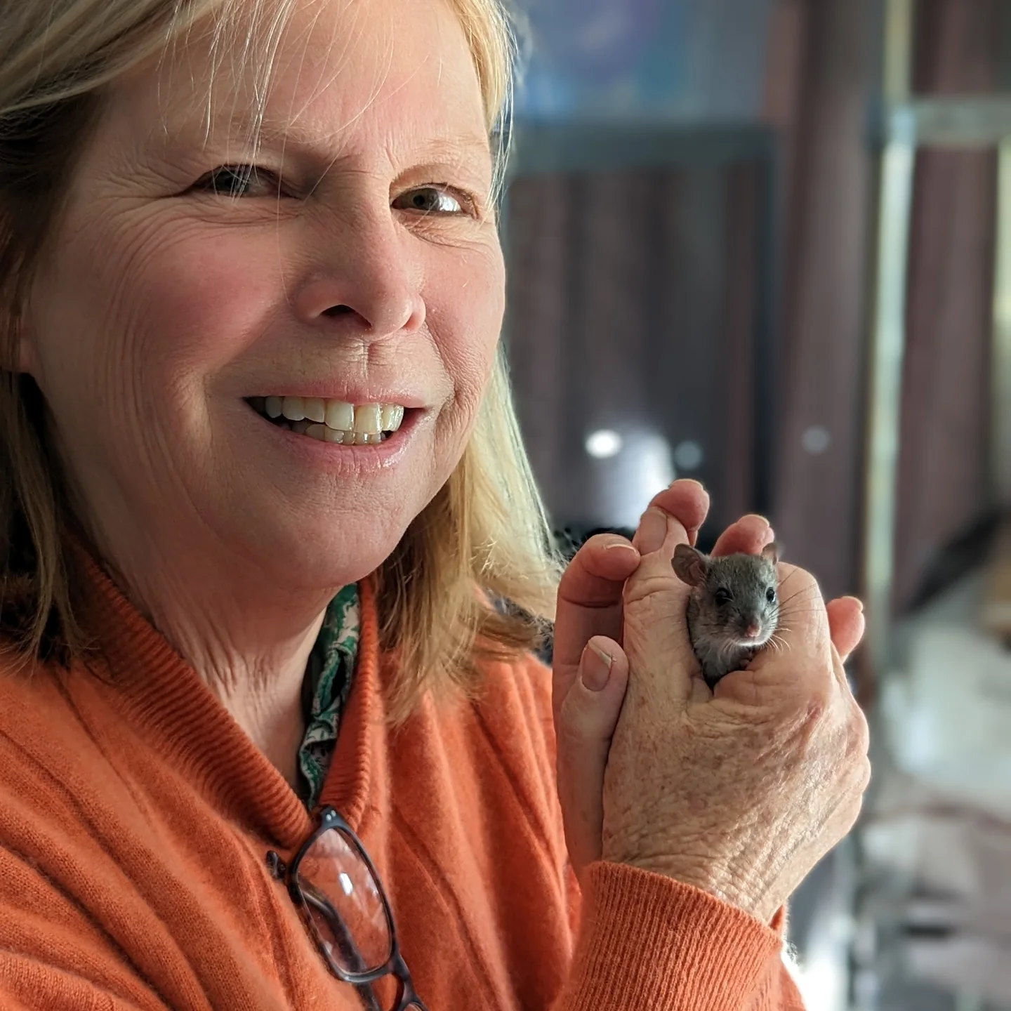South Bay Rodent Rescue added a... - South Bay Rodent Rescue